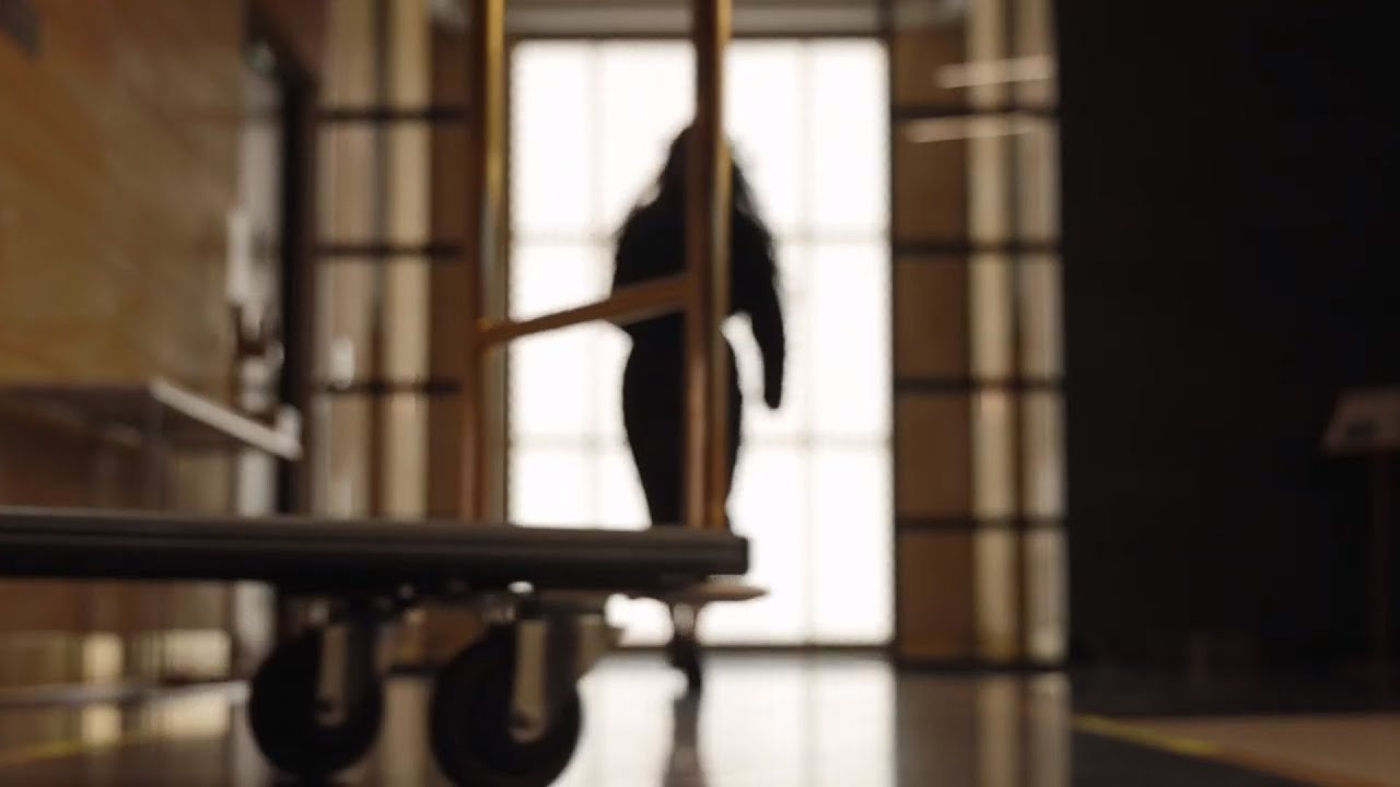 Съемки рекламы для Radisson blue. Фотопродакшн, видеопродакшн, снять рекламу. Москва