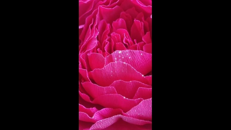 Эстетика спорта и балета