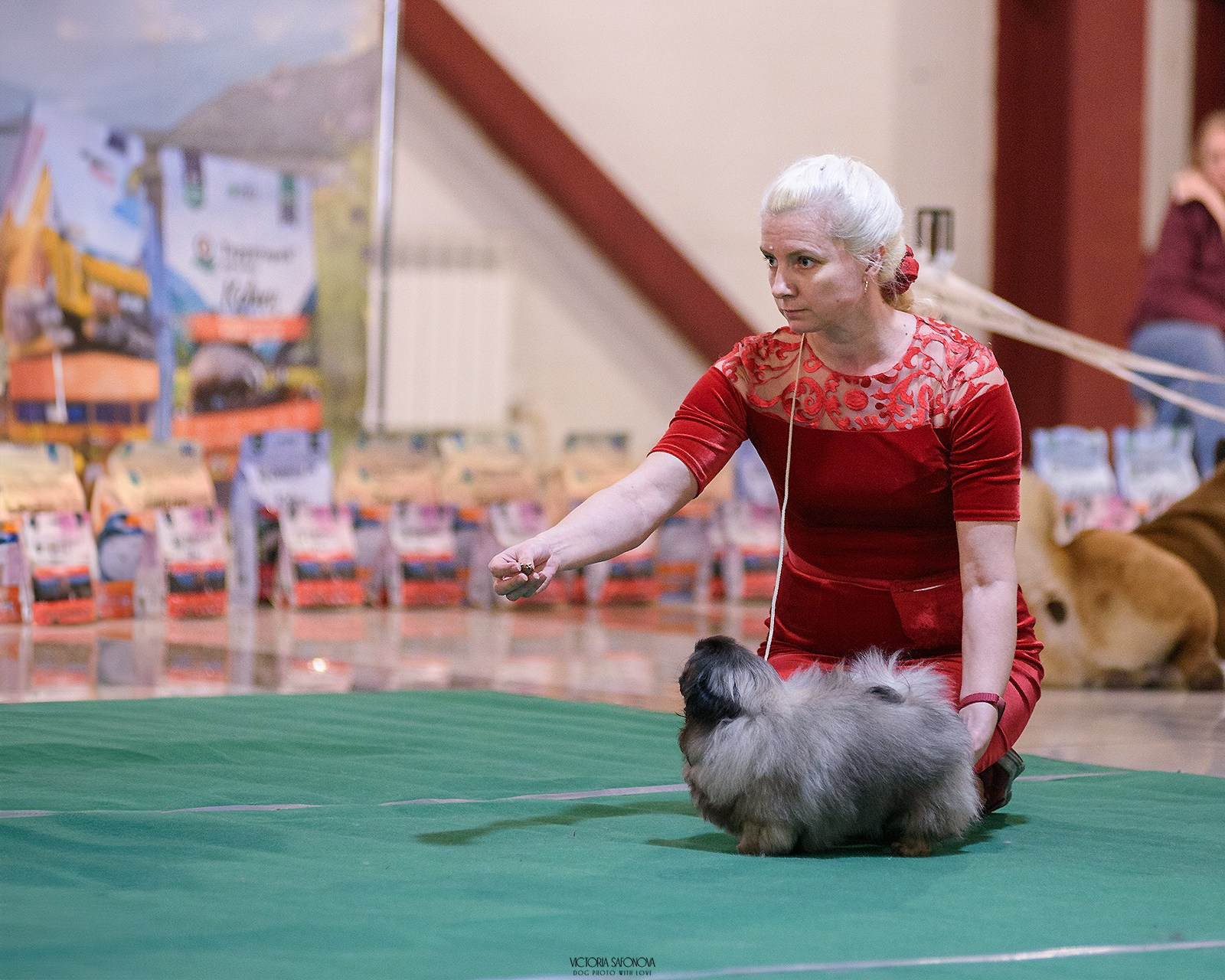 15 марта 2025. Хабаровск. Фотограф анималист Благовещенск. Сафонова Виктория