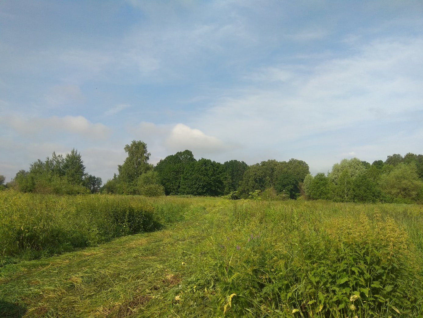 Походная Романтика 31. ФанФест на Клязьме | 2020. Галерея Фантим