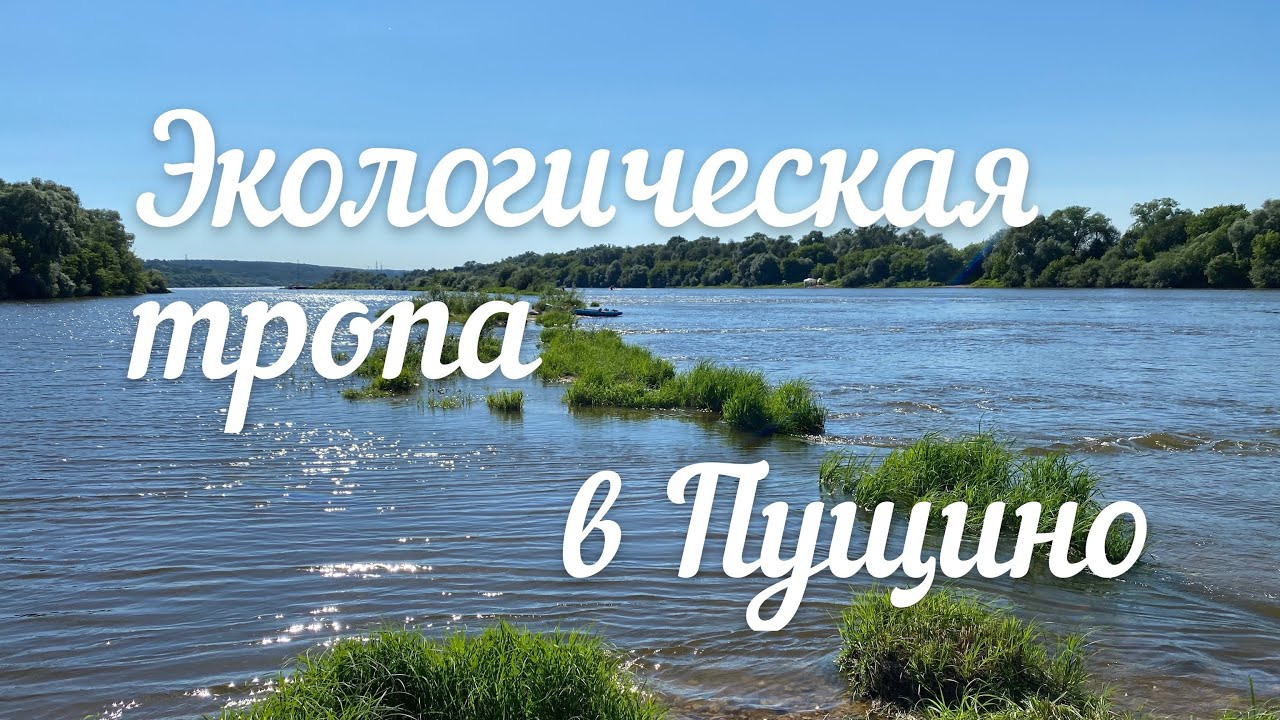 Прогулка по Пущинской тропе: где история встречается с природой. Сайт фотографа Андрея Басова