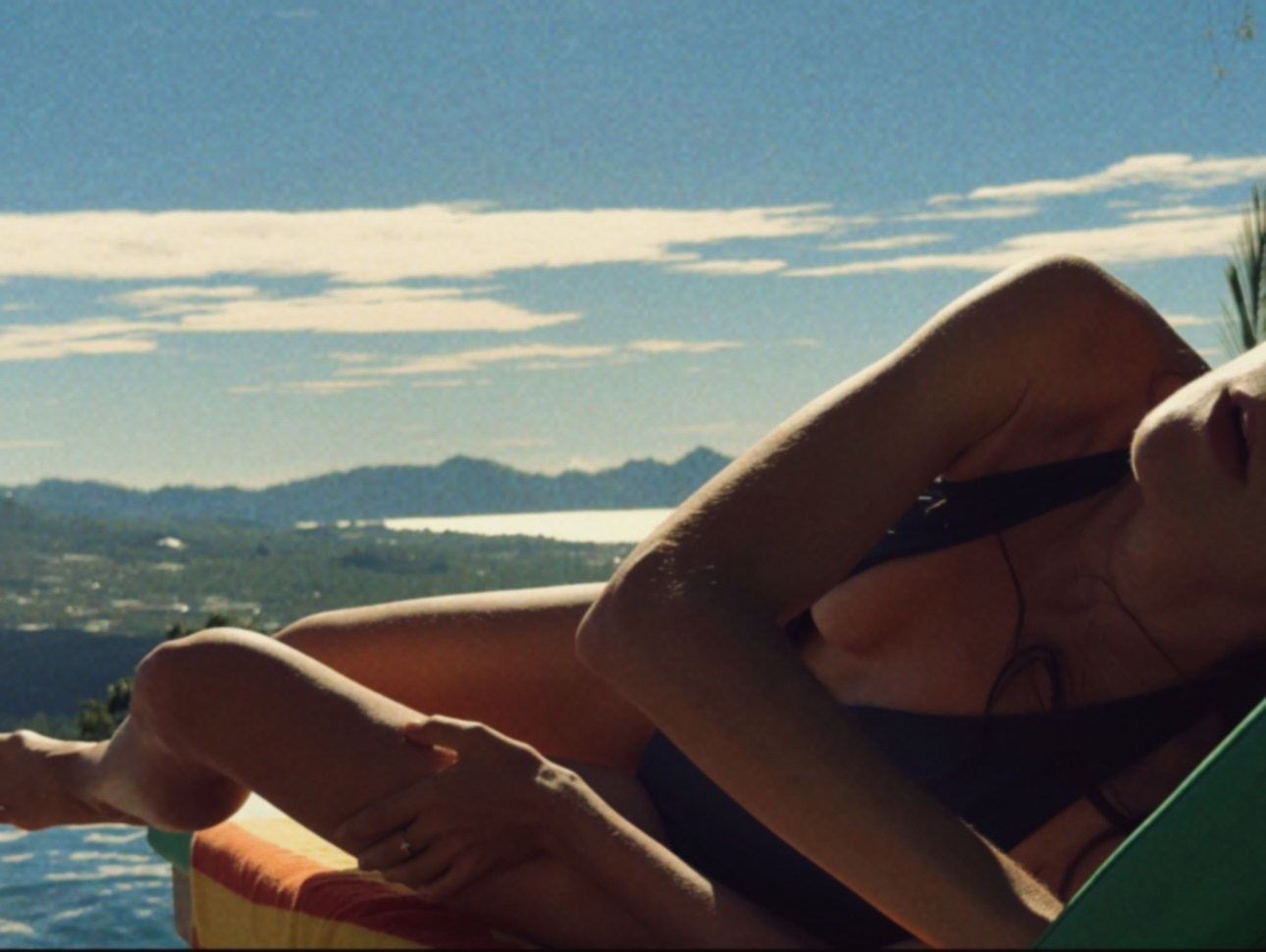 Виолетта Скрипка