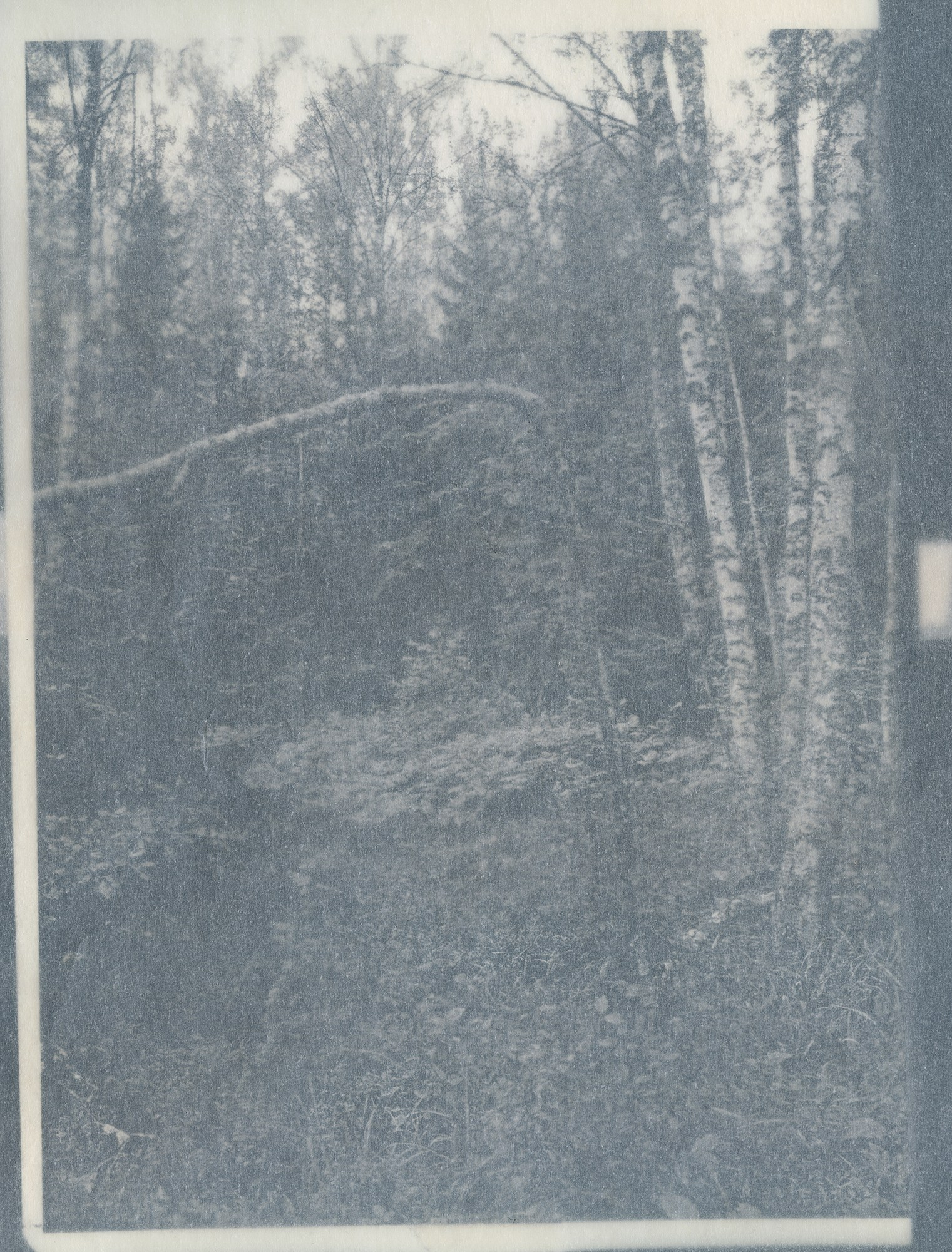 Вика Буковская — Помоги мне вернуться в места, которые всё ещё кажутся знакомыми