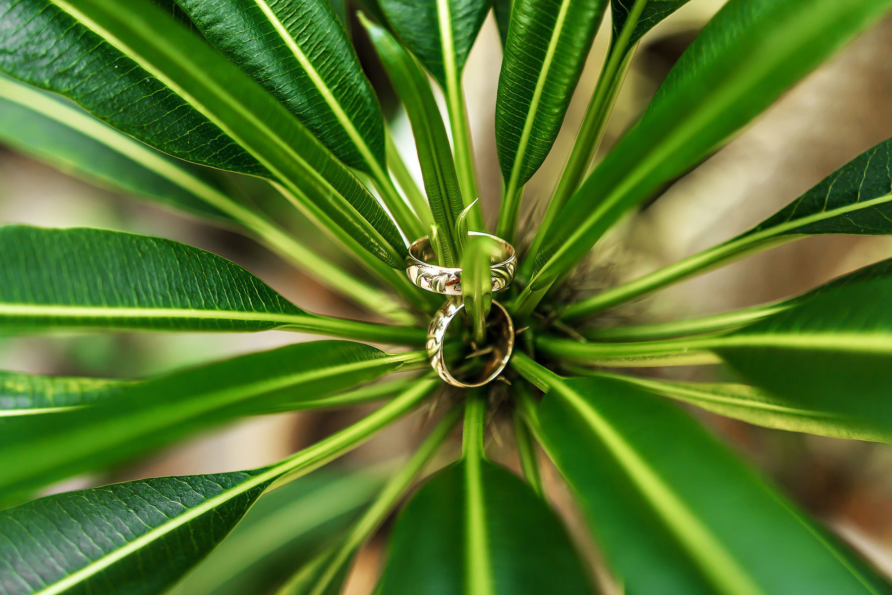 Екатерина&Игорь | 2018. Фотограф в Батуми Павел Шарников