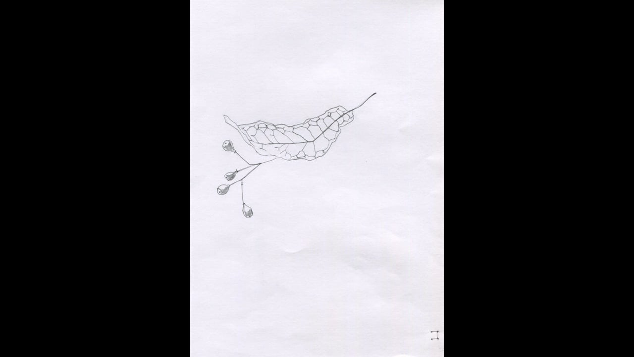 Наталья Алаторцева — Медленный шаг