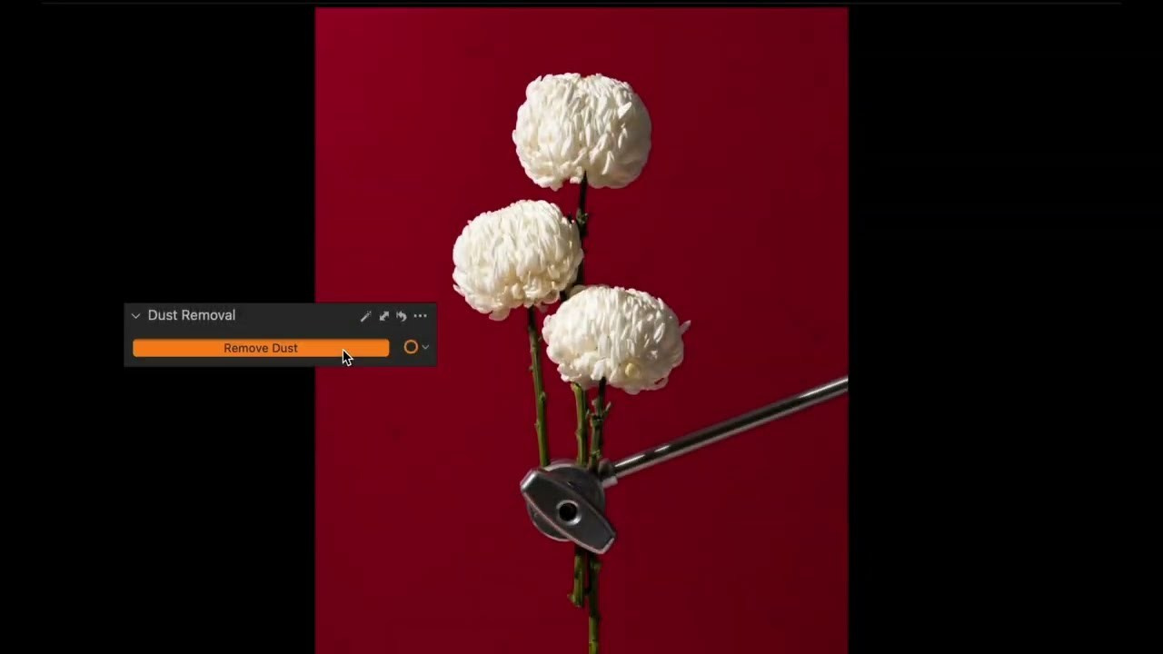 Pro Capture One Online — Онлайн курс по обработке в программе Capture One. Алексей Романов фотограф Санкт-Петербург, фотокурсы, фотошкола