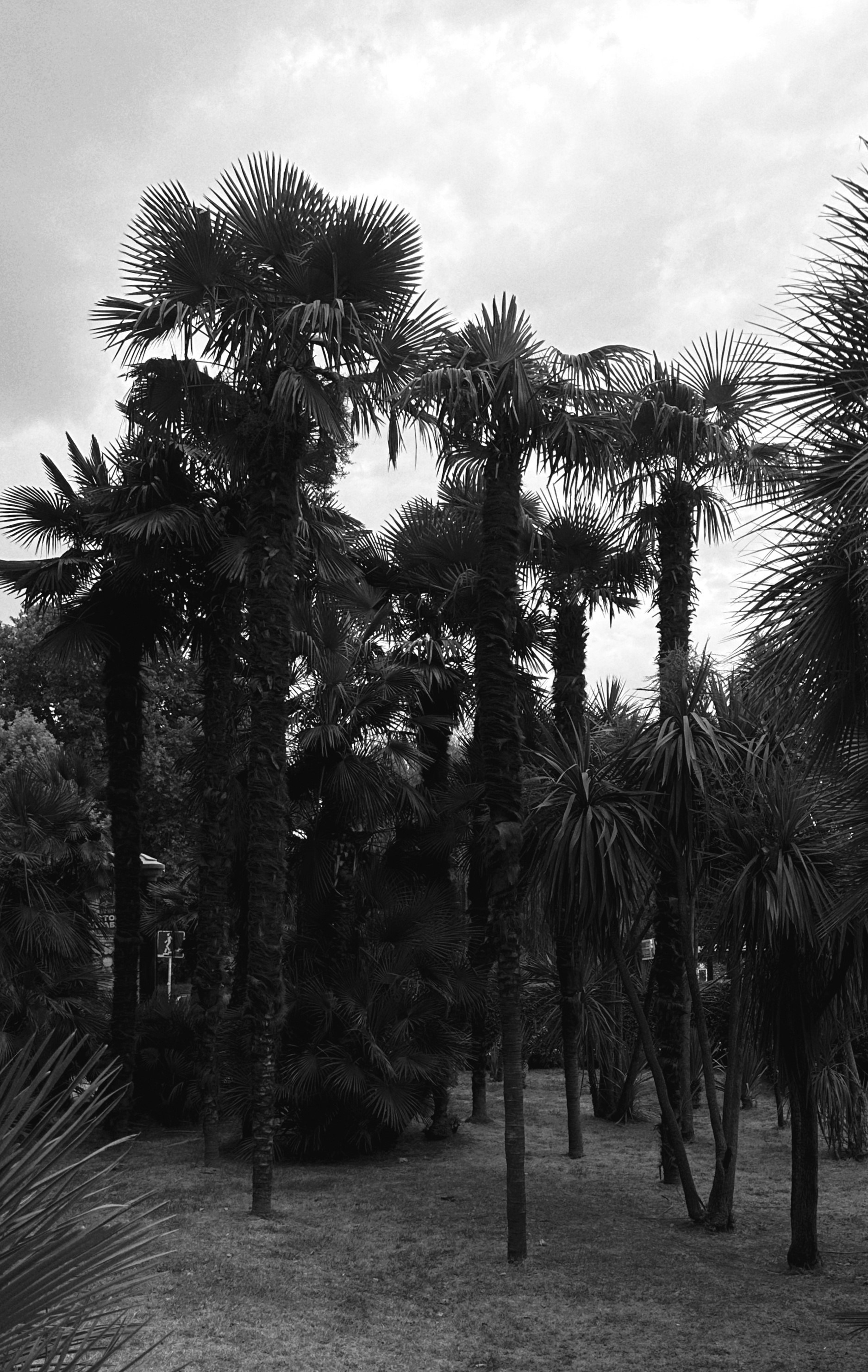 КАТЕРИНА ТУРИЛКИНА | ФОТОГРАФ СОЧИ КРАСНОДАР