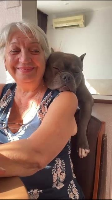 Дети Вела. ПИТОМНИК СОБАК ПОРОДЫ АМЕРИКАНСКИЙ БУЛЛИ