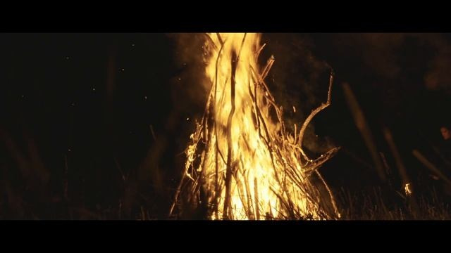 Видеосъемка Алекс ДеФильм