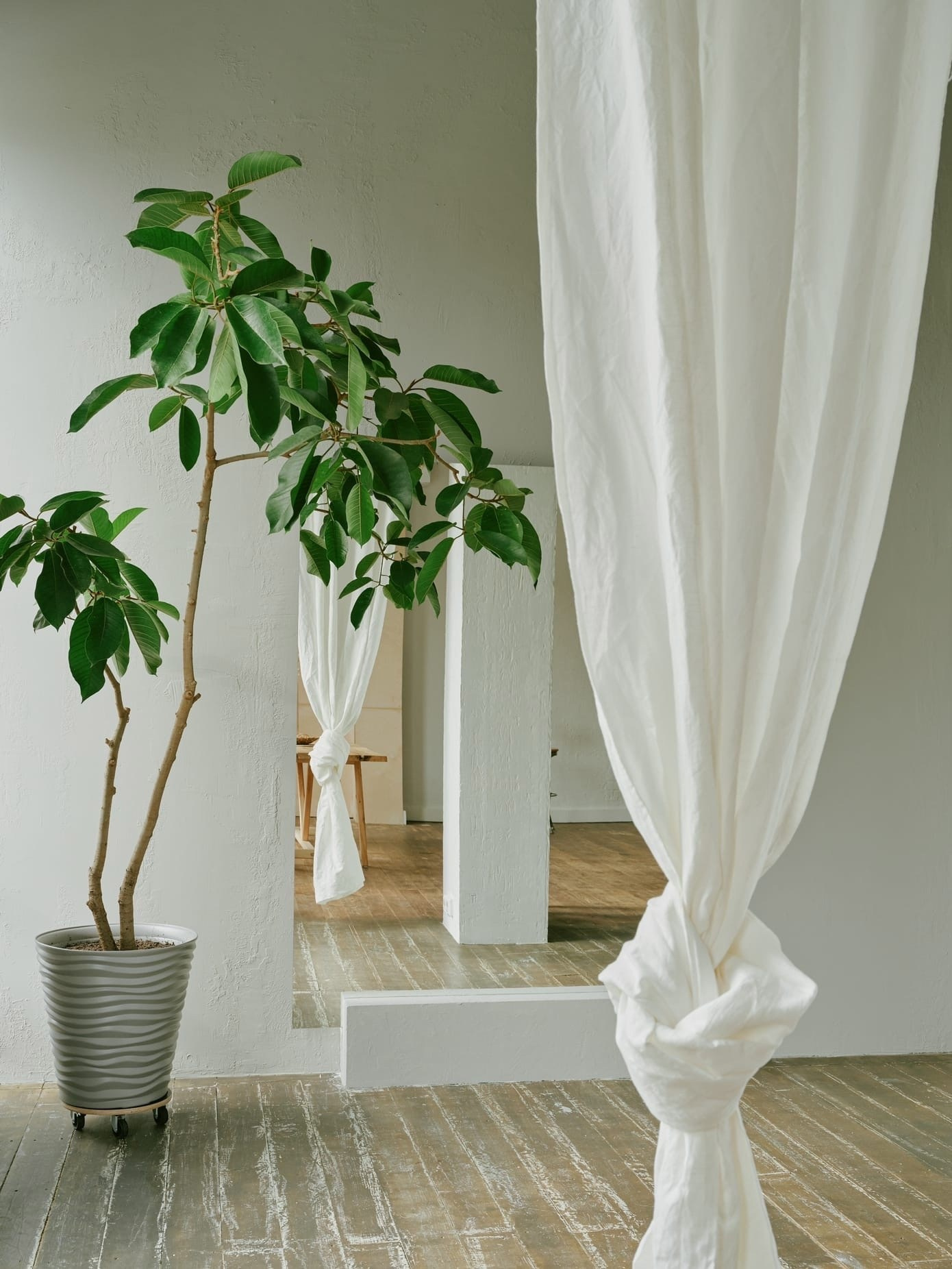 Фотостудии Барнаул. Свадебный репортажный и фуд фотограф в Барнауле Гайфулин Виталий