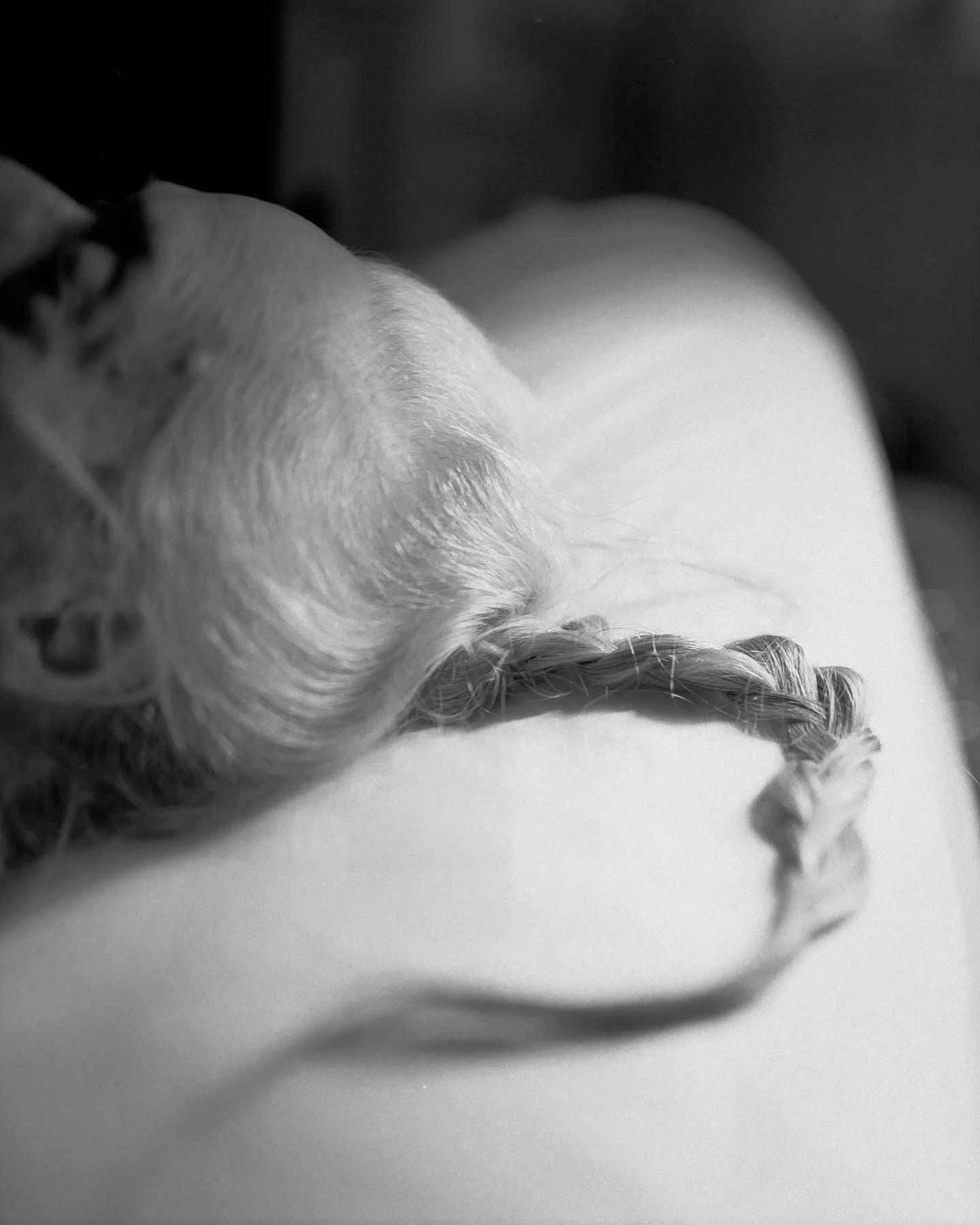 Вдохновение недели. Private image