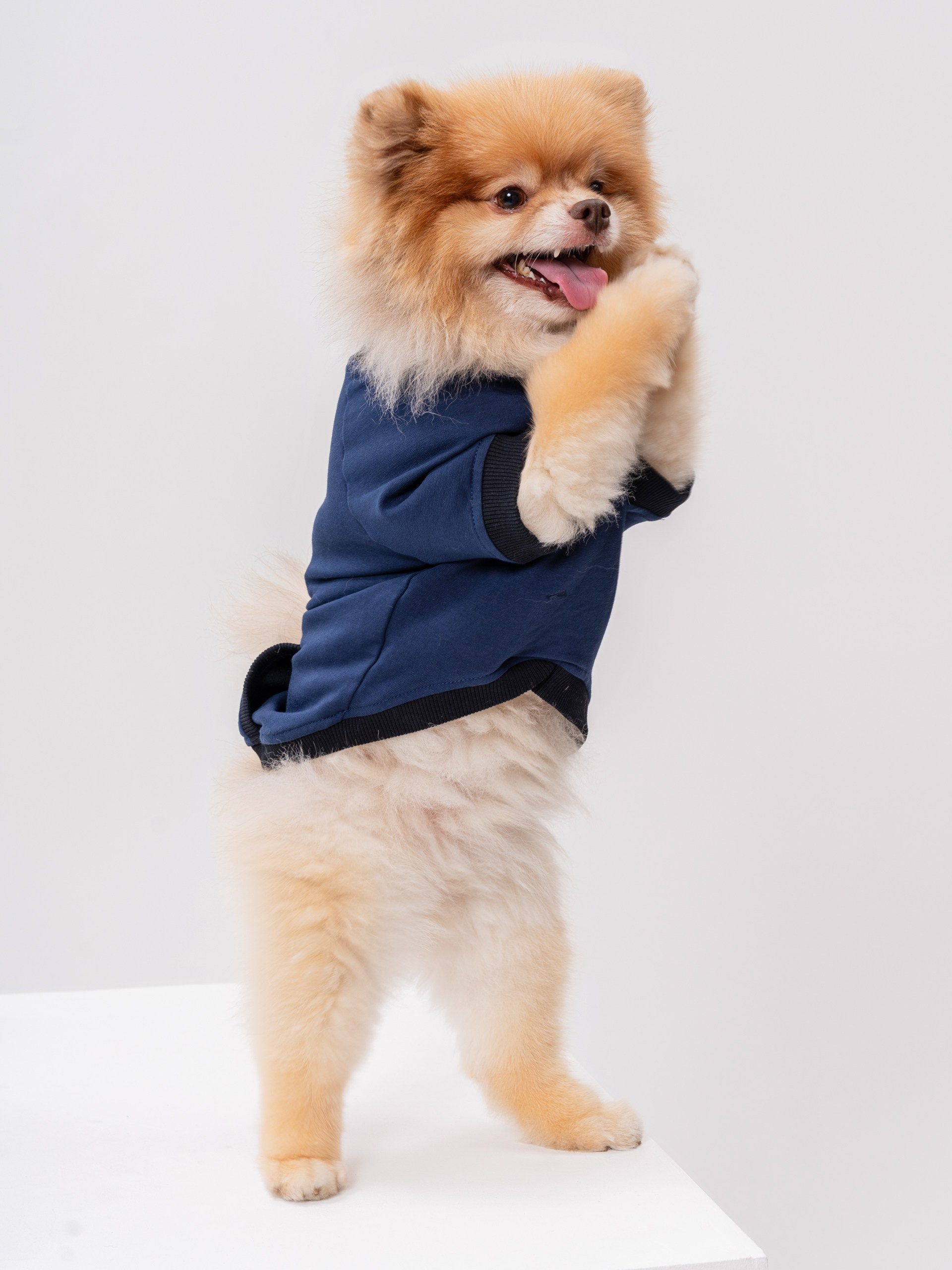 Контакты CREATIVO PROD. Фото для маркетплейсов — CREATIVO.PROD Москва