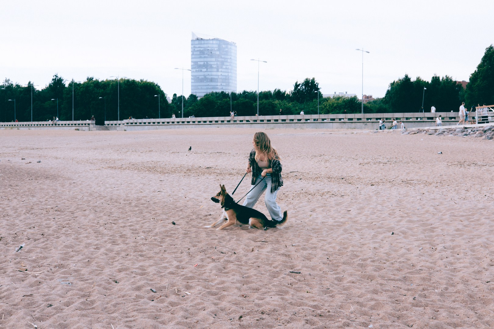 Dogs. Юлия Астра: Фотограф в Санкт-Петербурге. Снимаю женские портреты, уличные съёмки в Петербурге и людей с их собаками