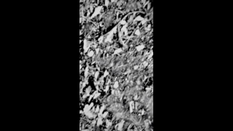 Точка отсчета. Козлова Екатерина. Междисциплинарная визуальная художница