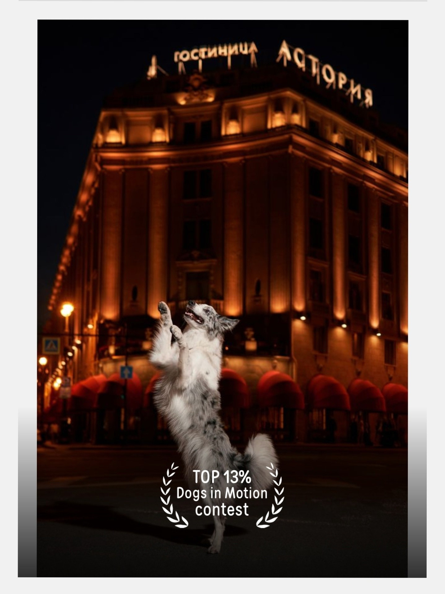 Фотограф людей и животных в Санкт-Петербурге Марина Бурмистрова