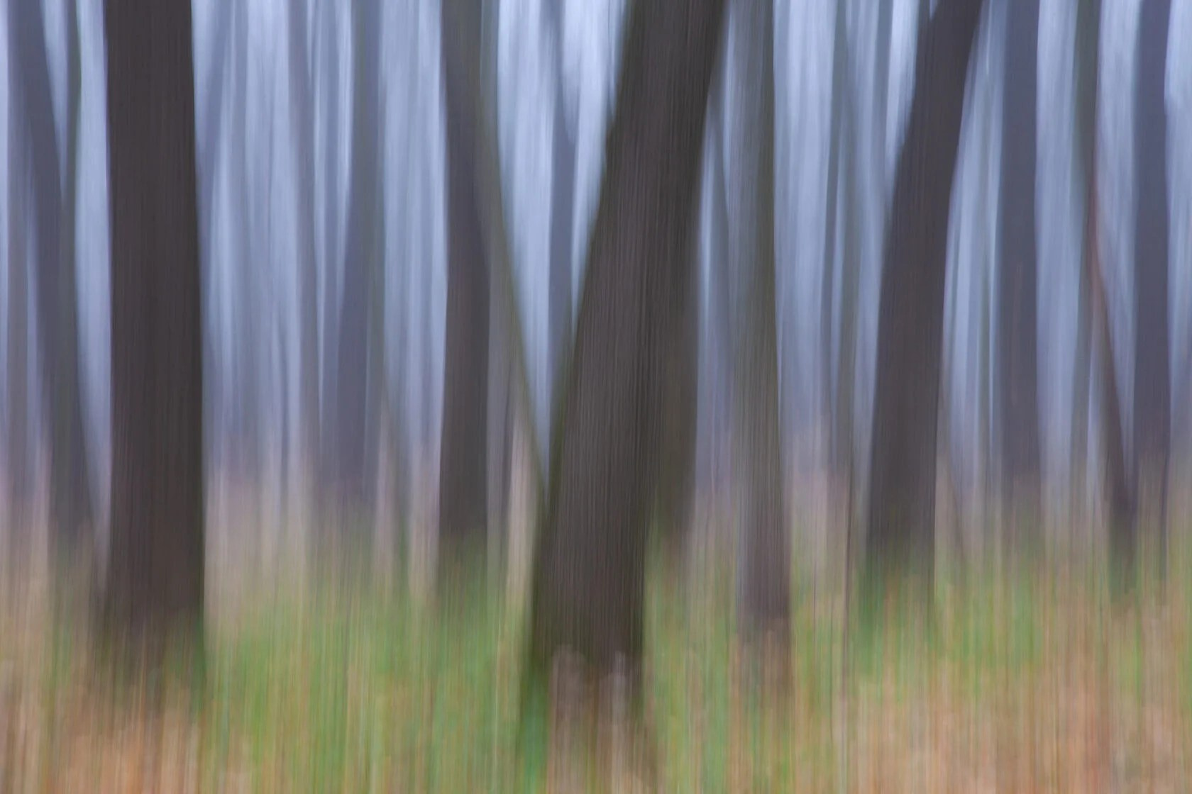 Пейзажный & Timelapse фотограф Роман Любимский