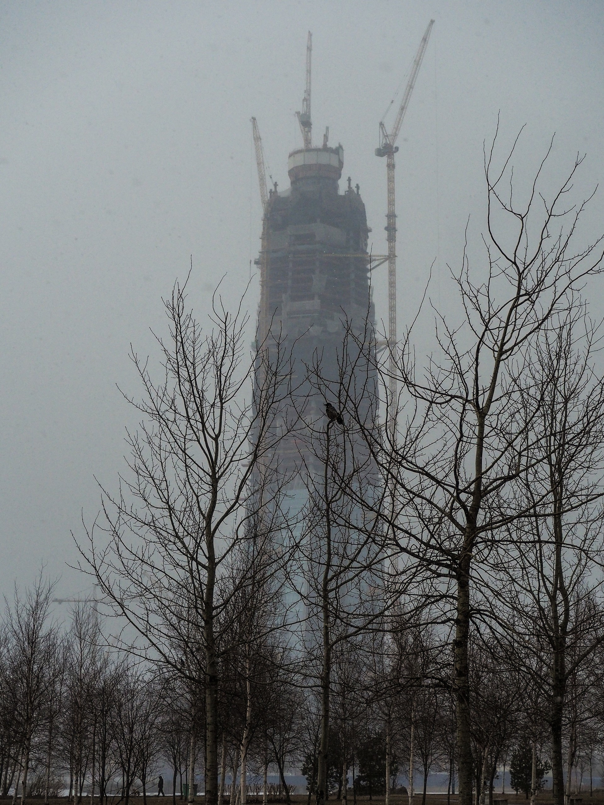 The park (2017). Künstler Verstecktoff