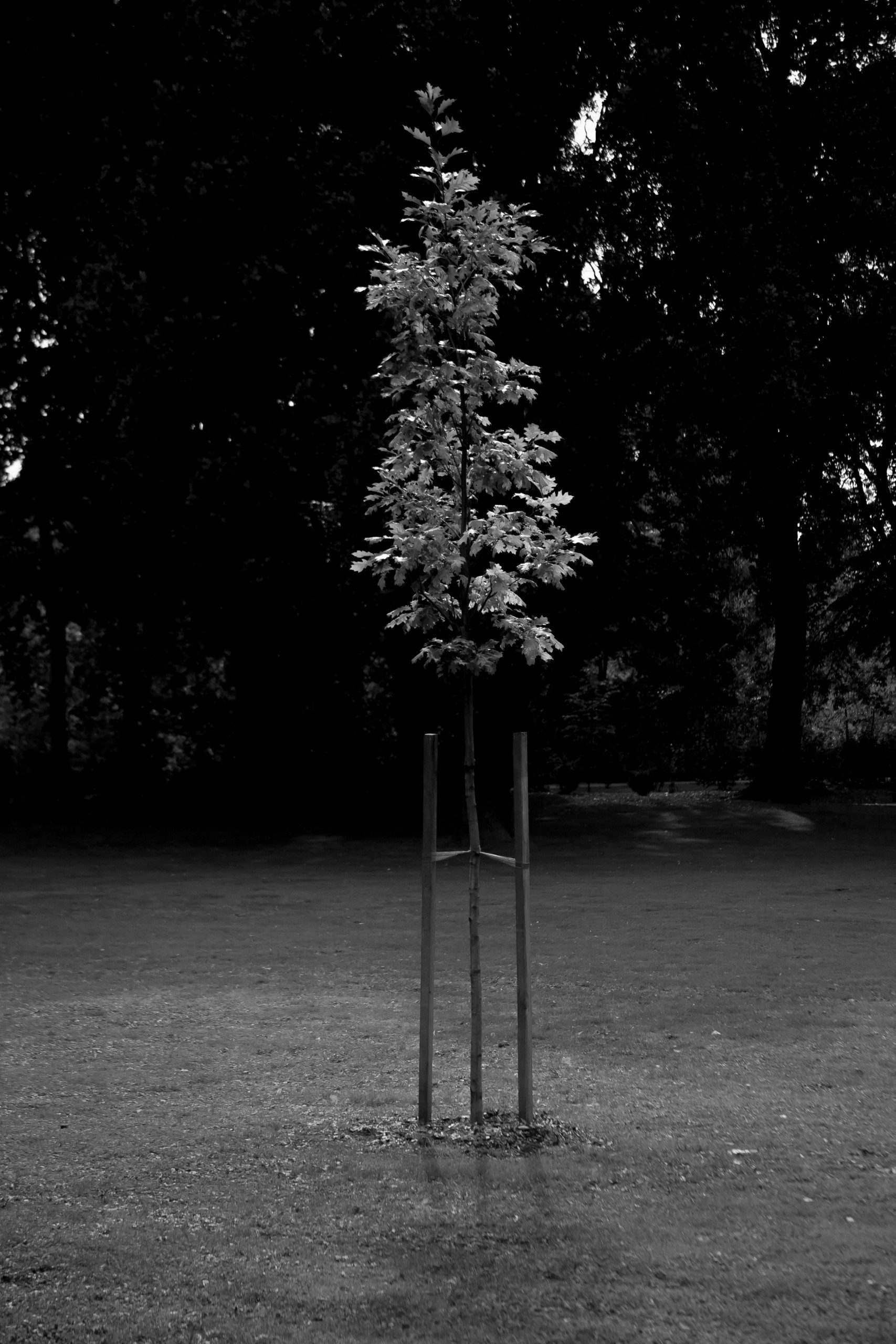 Czech Republic. Künstler Verstecktoff