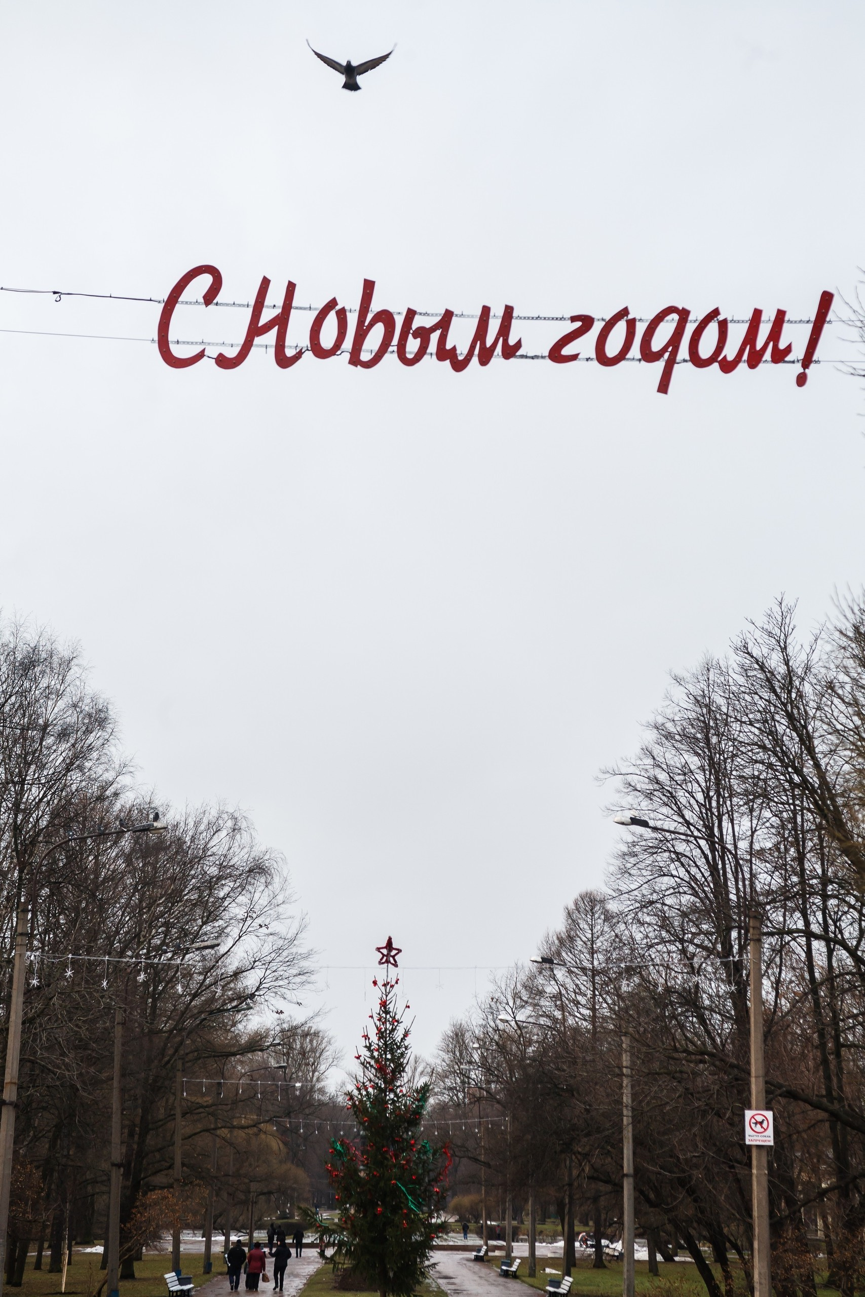 Saint-Petersburg. Künstler Verstecktoff