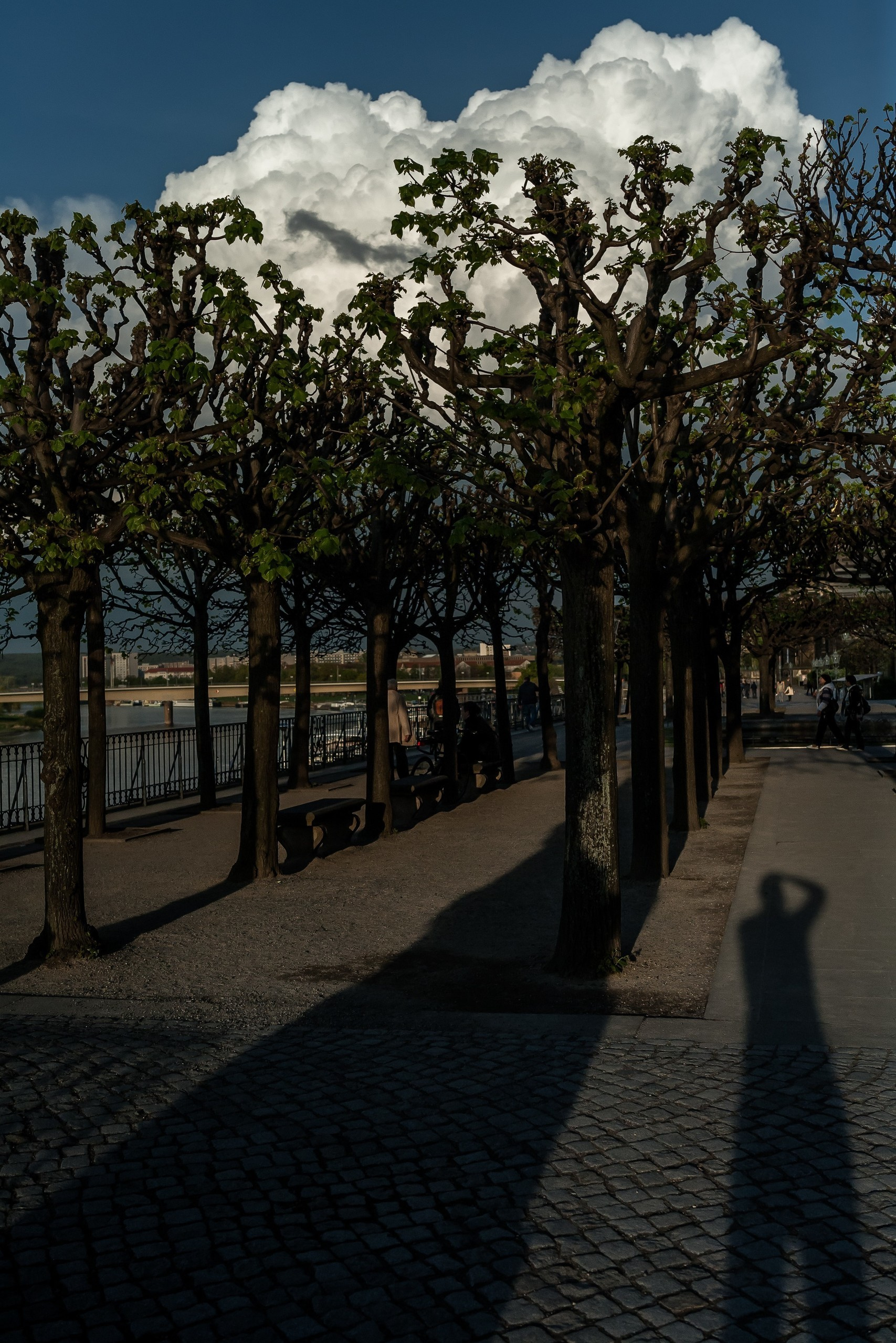 Germany. Künstler Verstecktoff