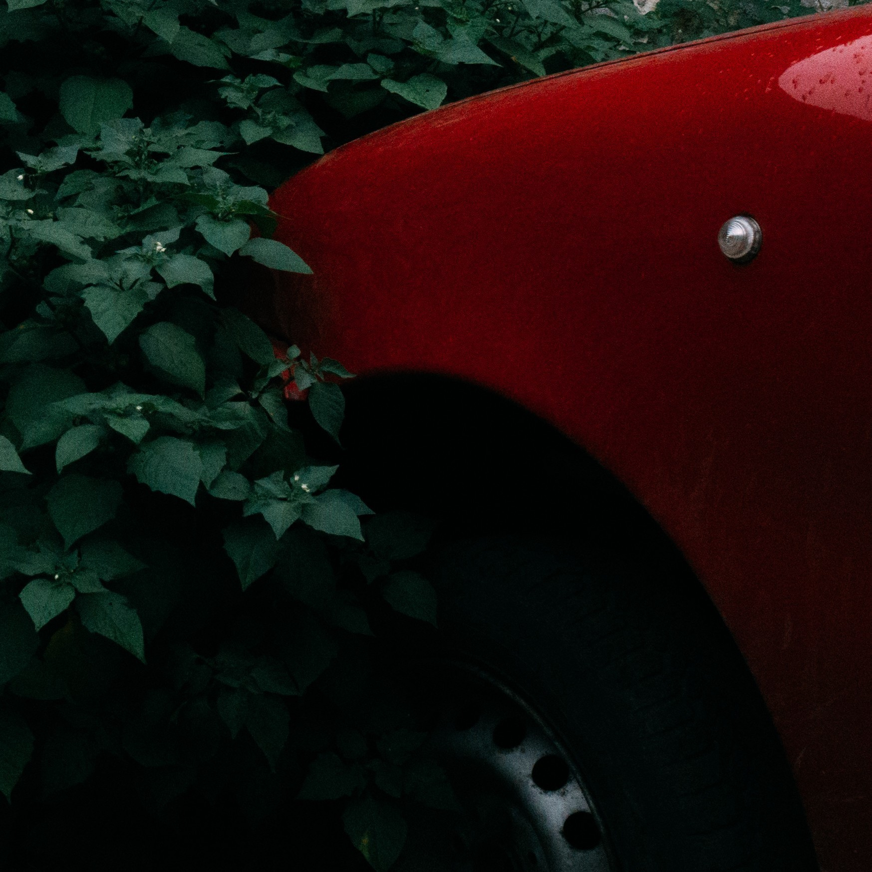 Poland. Künstler Verstecktoff