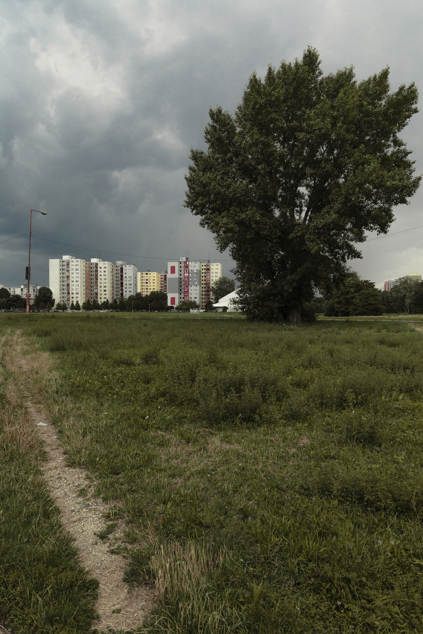 Capitals on the Danube. Künstler Verstecktoff