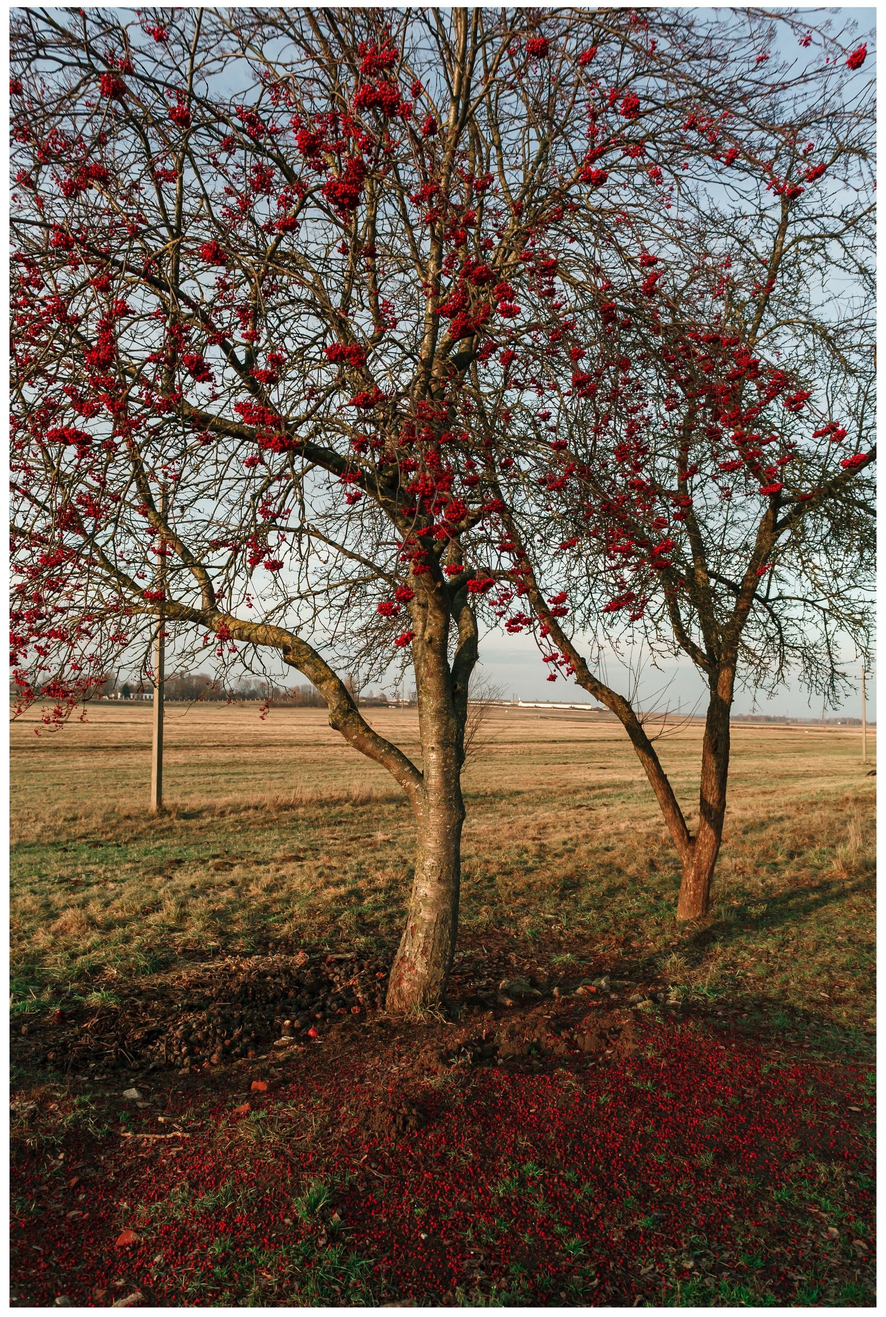 Belarus. Künstler Verstecktoff
