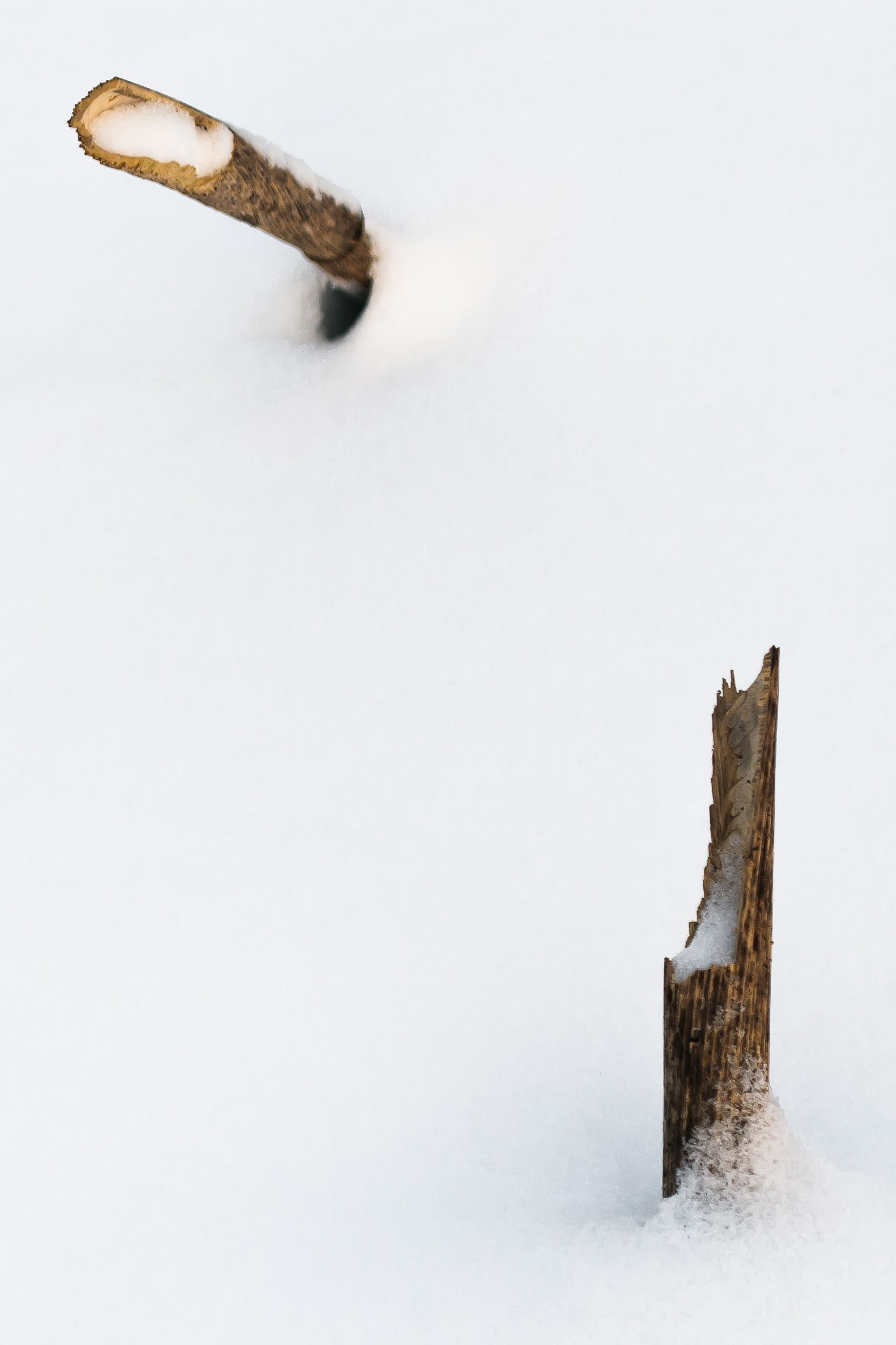Saint-Petersburg. Künstler Verstecktoff