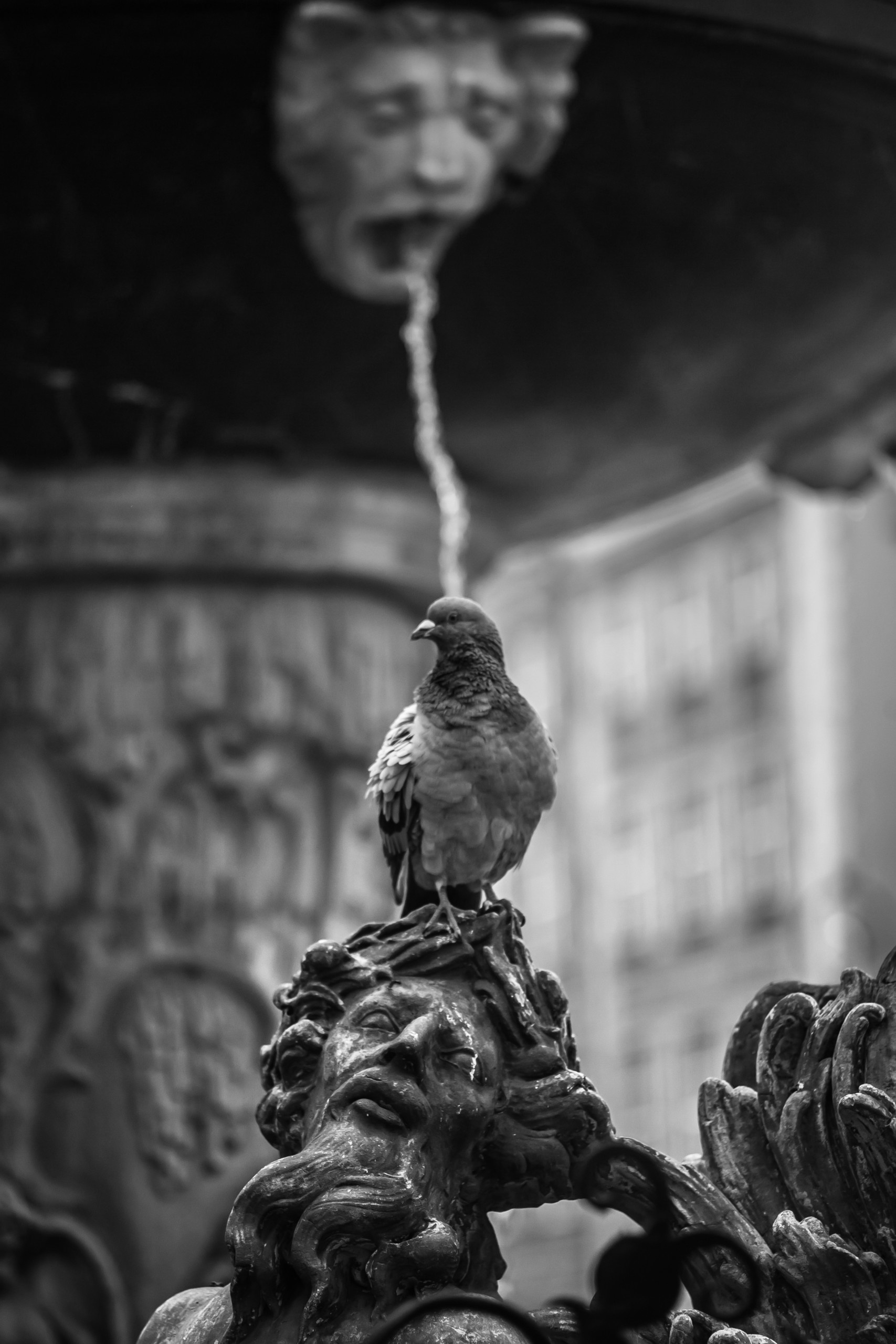 Poland. Künstler Verstecktoff