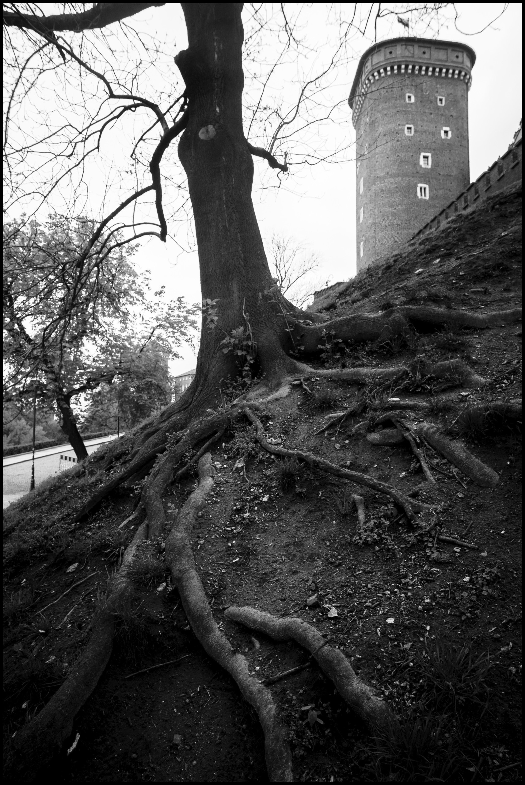 Poland. Künstler Verstecktoff