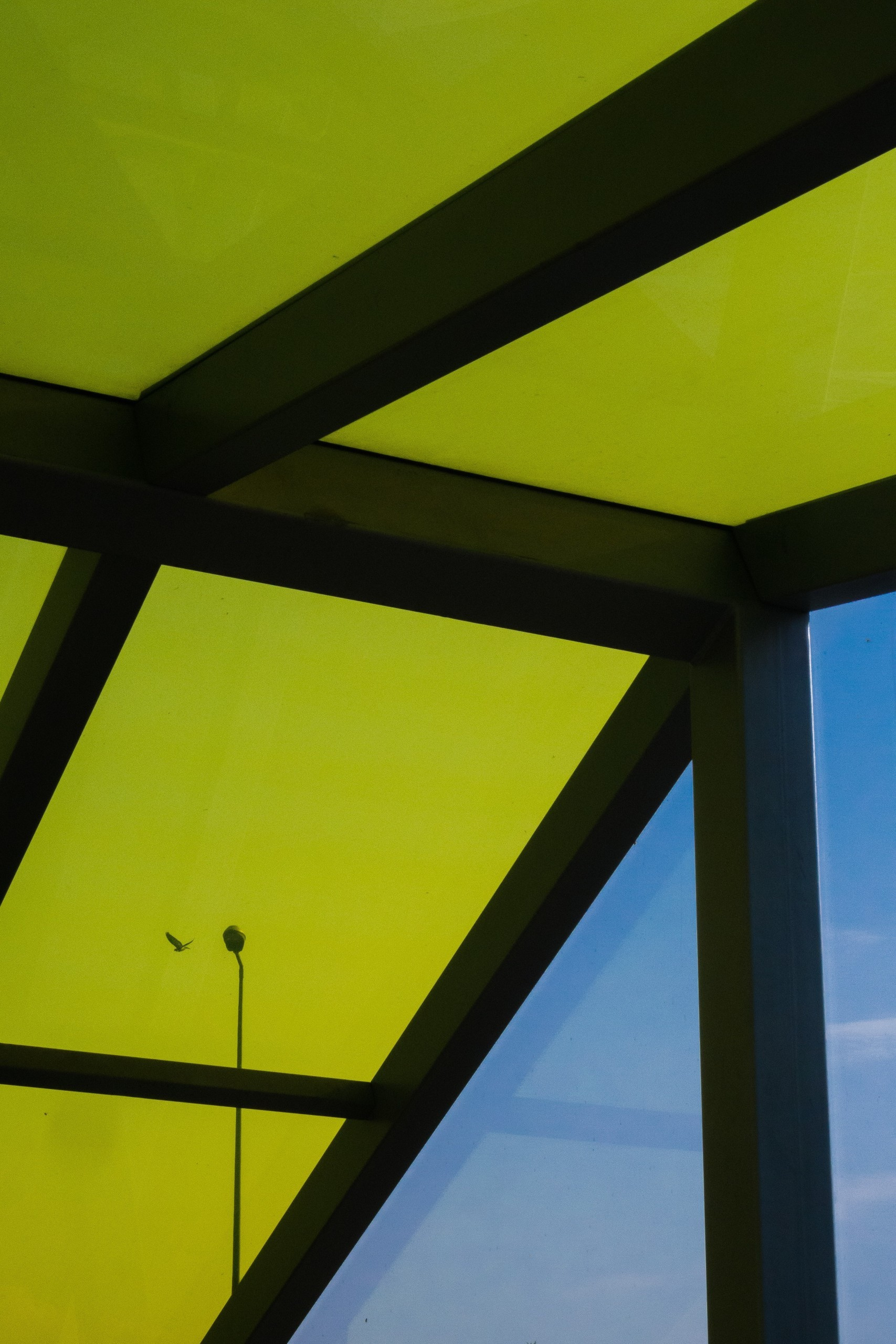 Poland. Künstler Verstecktoff