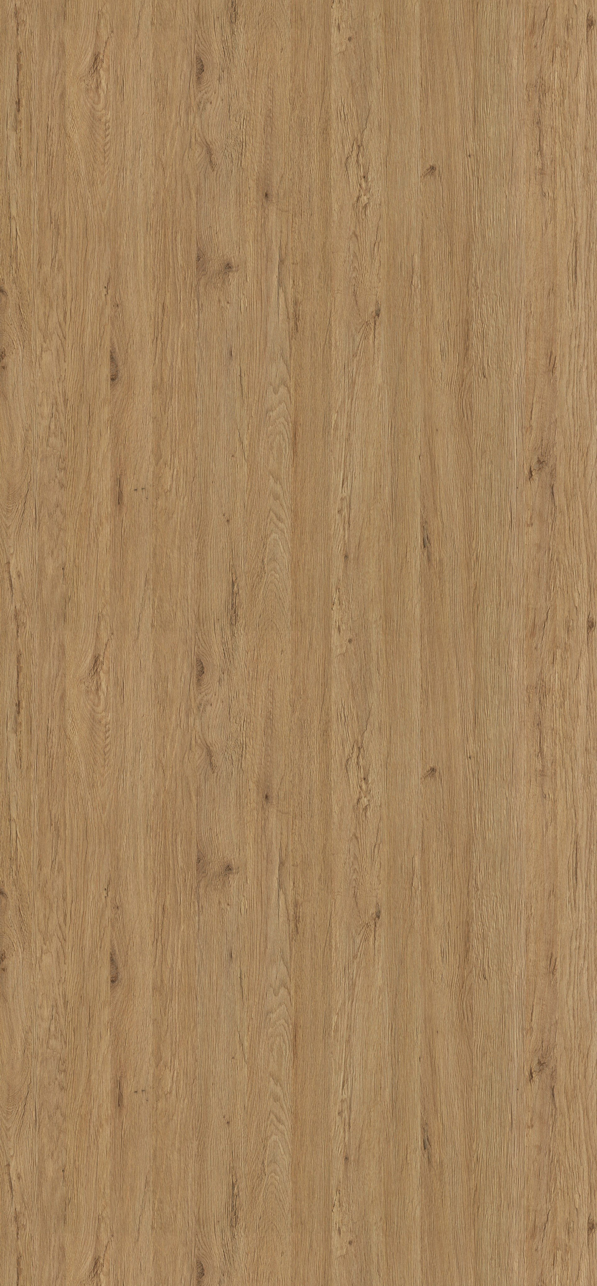 EGGER. Главная