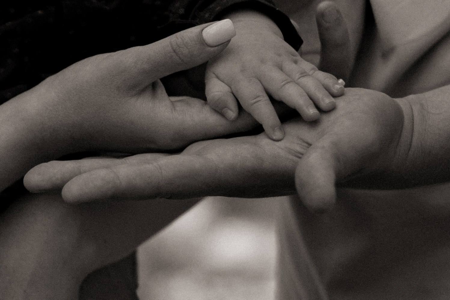 Семейная история.Матвей, Влад и Настя. Фотограф — анималист •love-story•|Санкт-Петербург