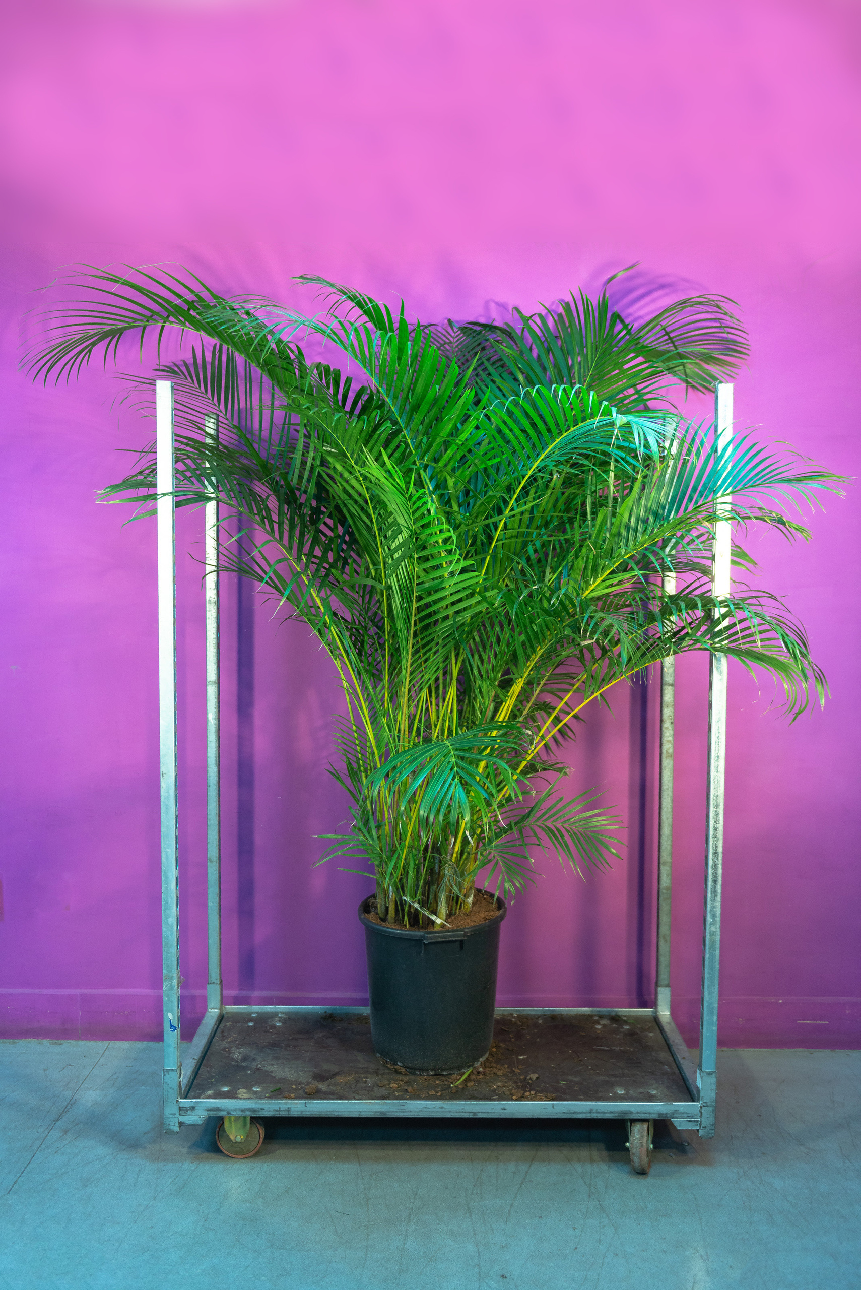 Сatalog shooting. Photo & Video production, in Bishkek, Kyrgyzstan