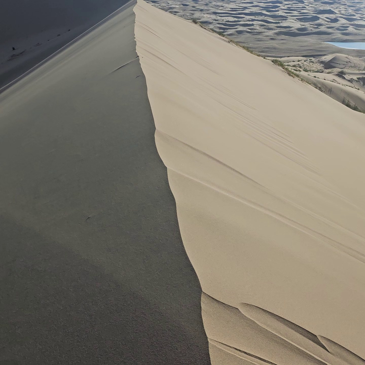 Экспедиция в Монголию (Гоби). Семоха Валерий. Фотограф