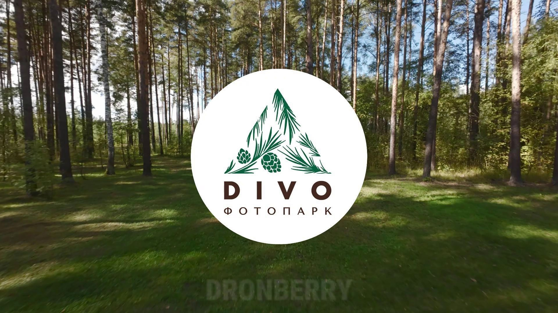 Портфолио FPV. DRONBERRY — Аэросъемка Ярославль