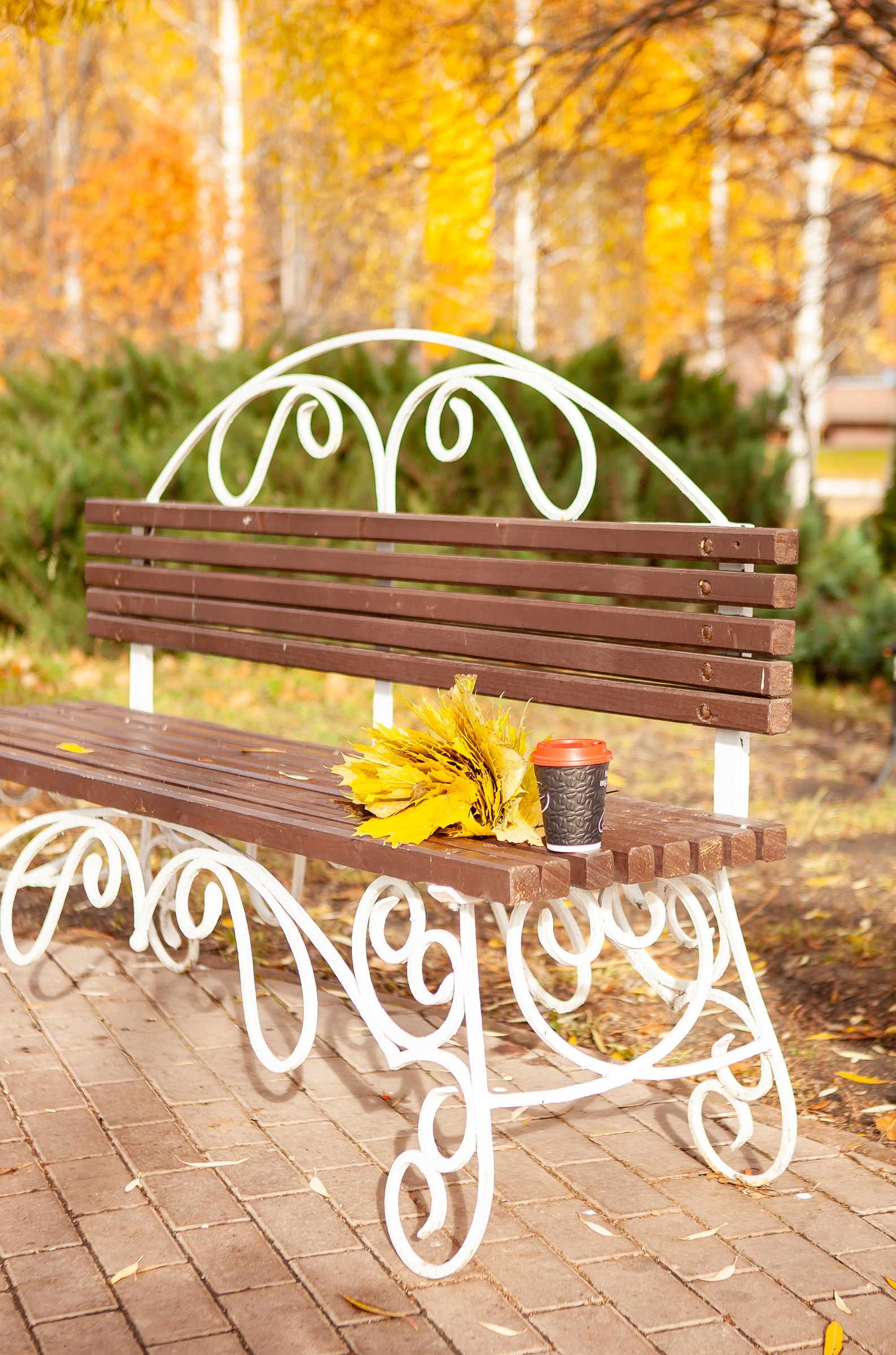 Анна. Фотограф Анастасия Лёвушкина