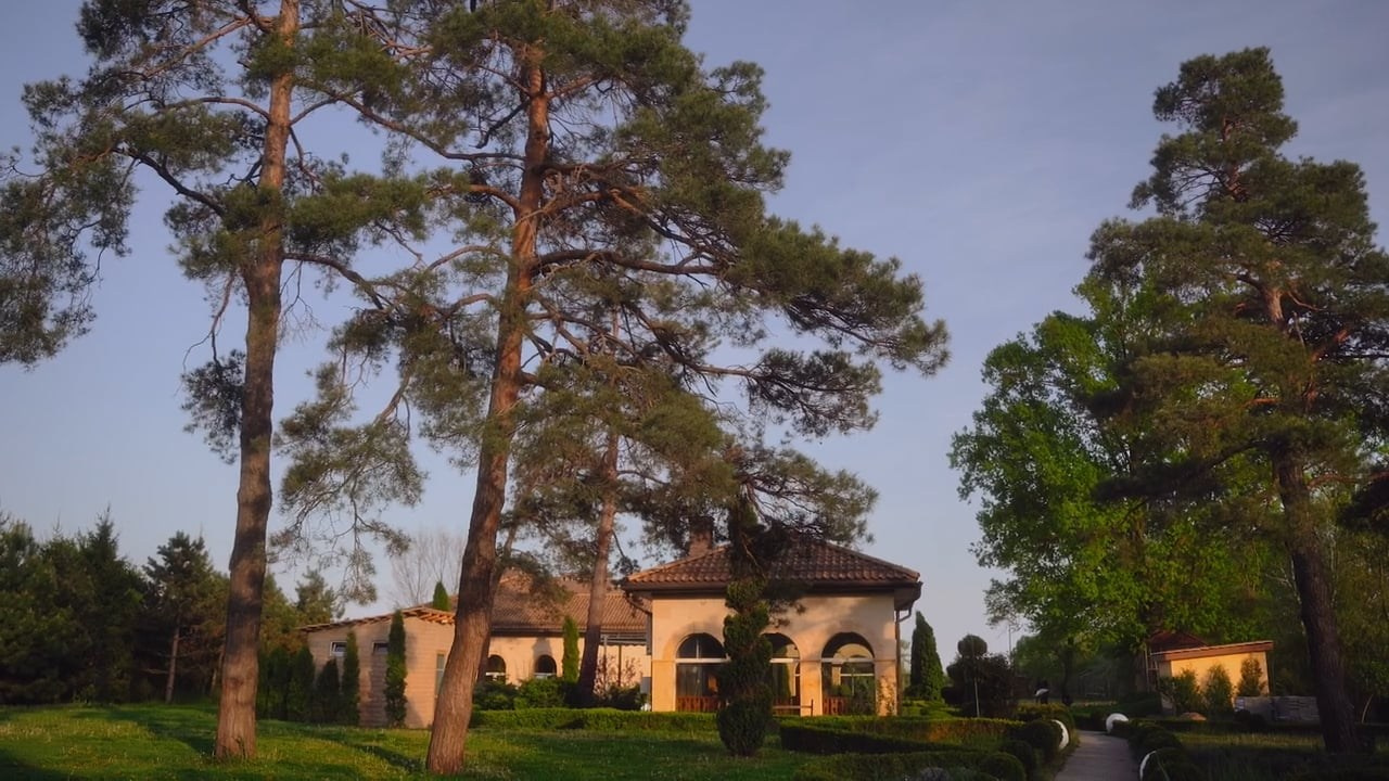 Никита и Виктория. Агата Акварель видеограф Сочи Краснодар