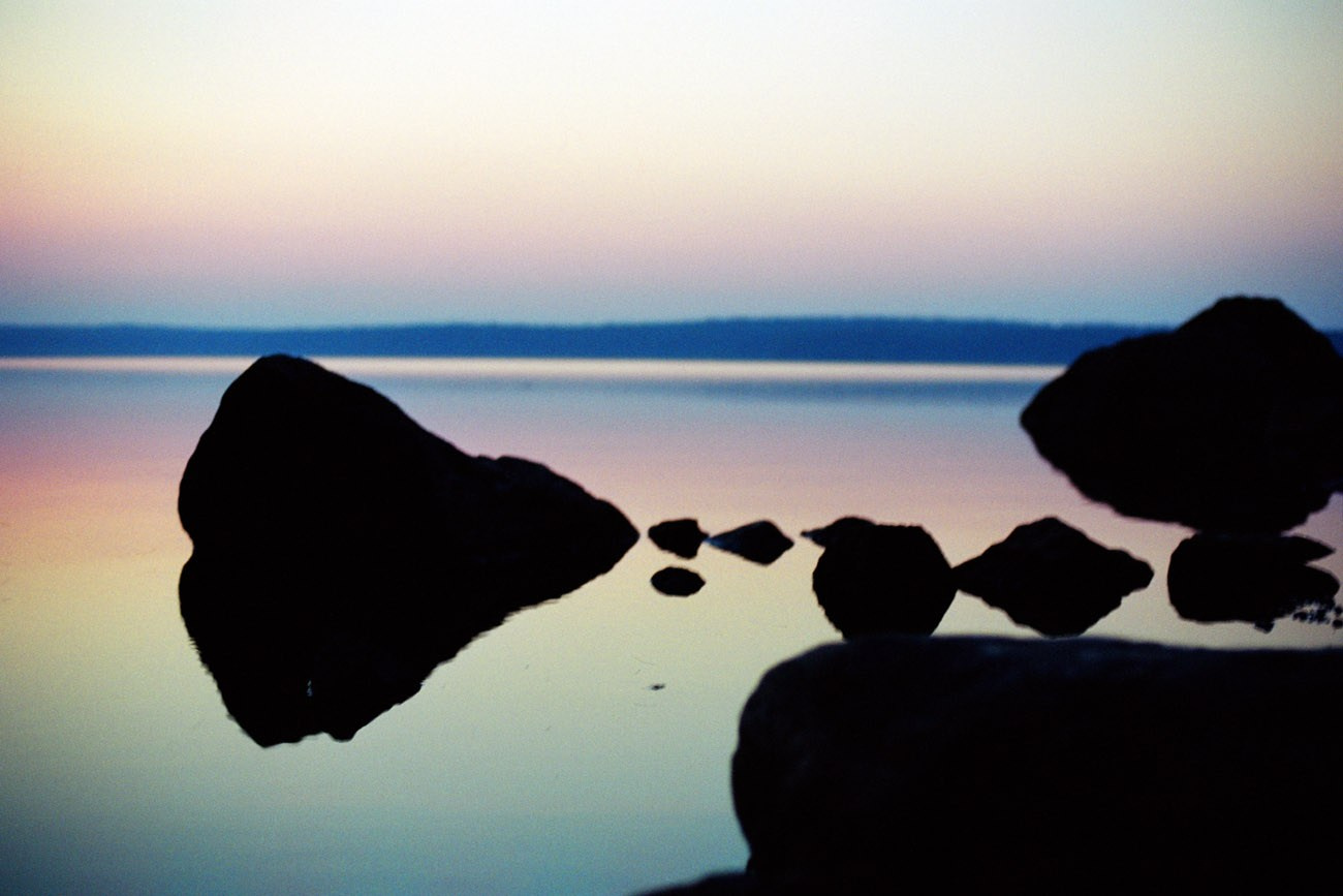 Art Series. Елена Цихон художник фотографии и мастер фото-ДНК