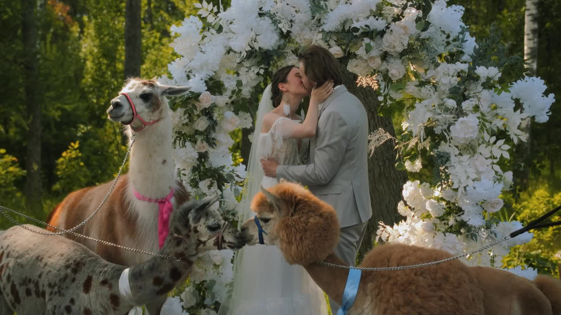 Видеограф Соколова. Подрядчики и друзья сети свадебных площадок House for wedding