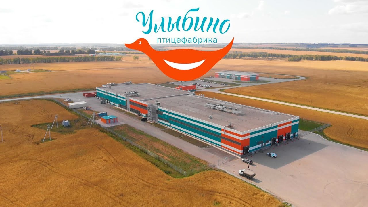 ВИДЕО. Анимация на заказ | AI 3D 2D | AIMULTISET