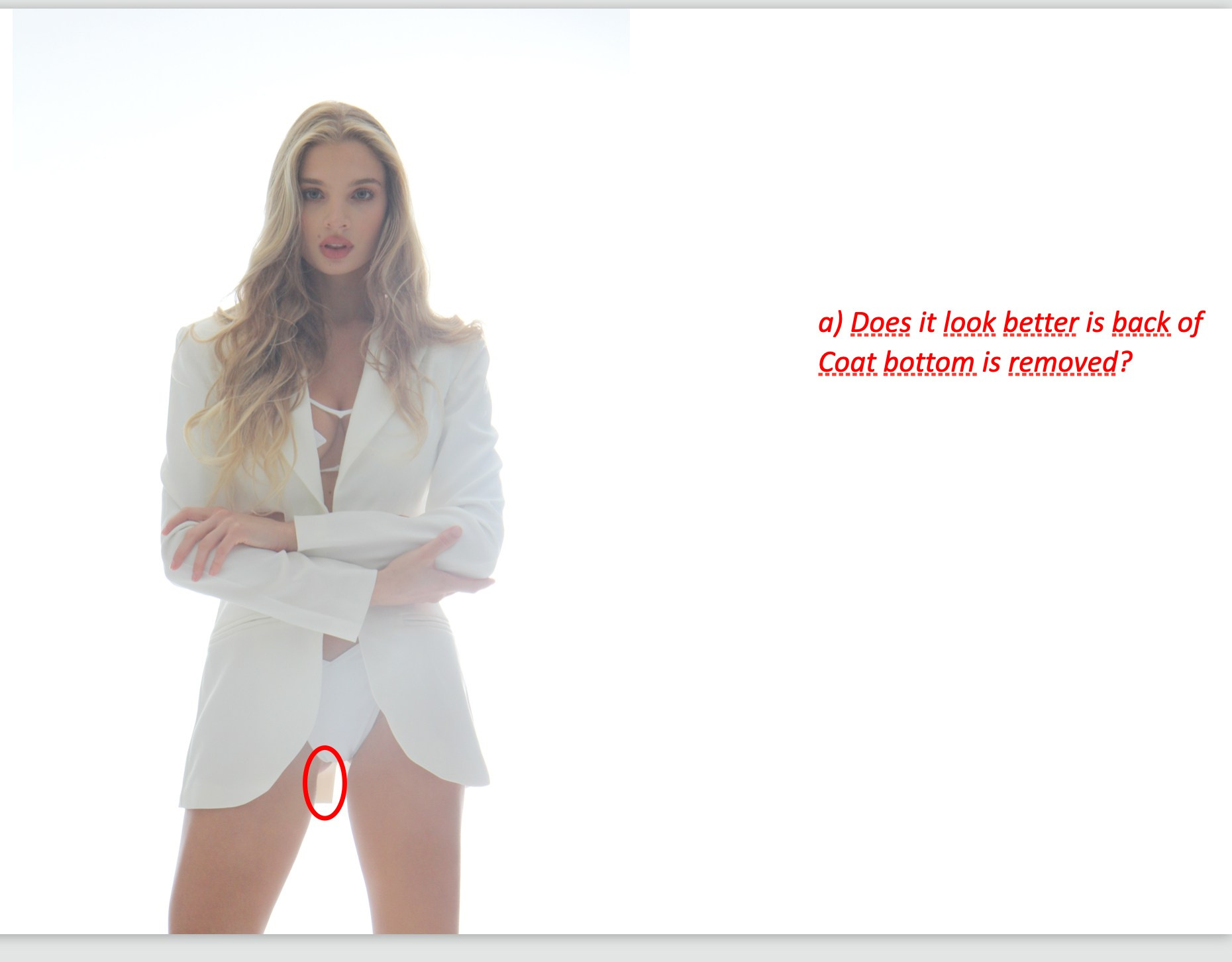 Technical task for a photo retoucher. AI Photo Retoucher and Image Restorer Zhanna Ognivo