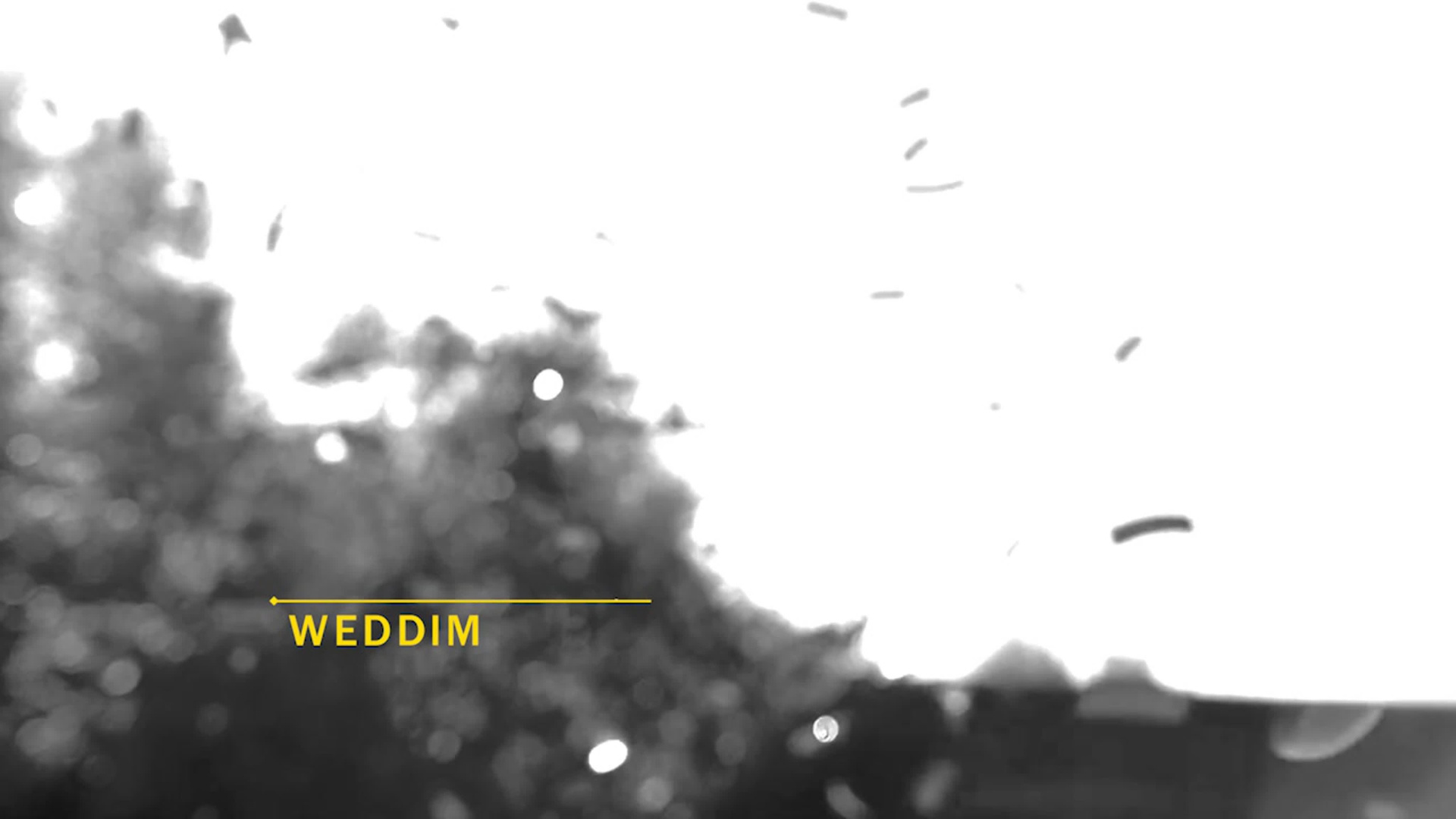 Сегодня день нашей свадьбы!. Свадебный видеограф в Челябинске WEDDIM