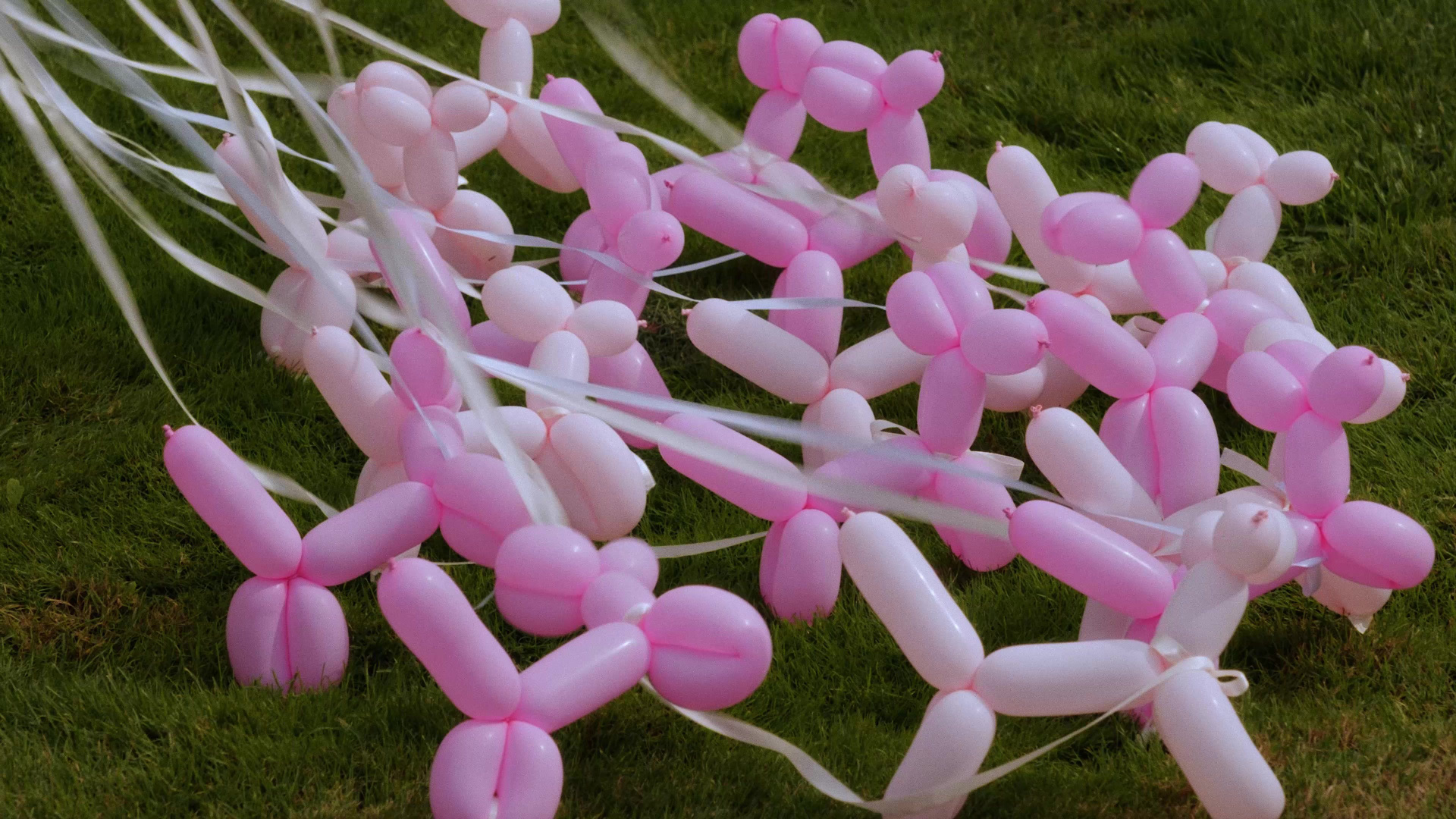 Видеограф Антон Чайный. Свадебные ромкомы с пасхалками