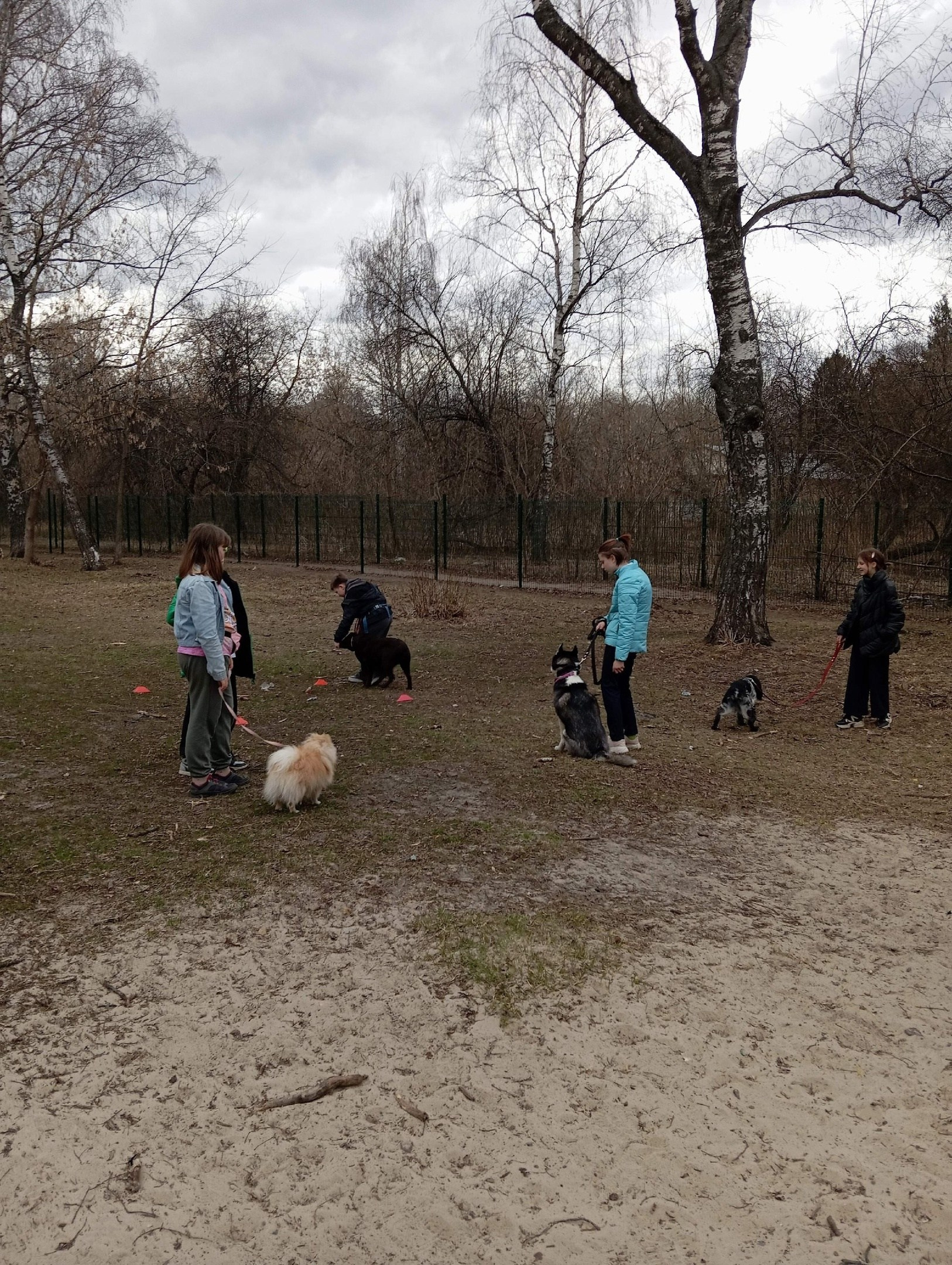 Практические занятия по дрессировке. НРОО КЦ "Собаковод"