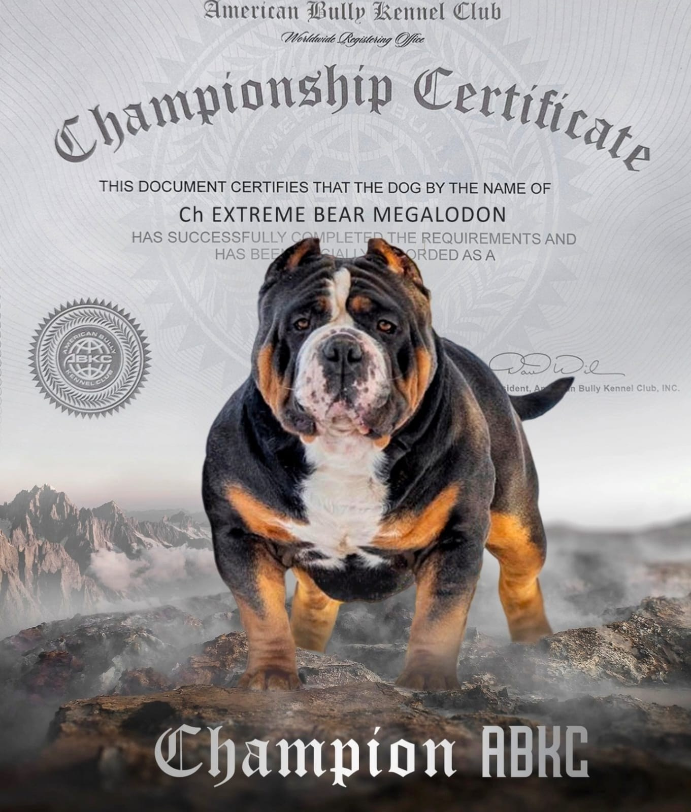 Щенки Американский булли. ПИТОМНИК СОБАК ПОРОДЫ АМЕРИКАНСКИЙ БУЛЛИ