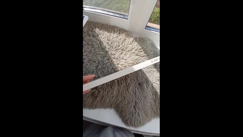 Выпускные альбомы для школьников СПб и Кронштадта. Артем Ракаев — фотограф и видеомейкер из Санкт-Петербурга