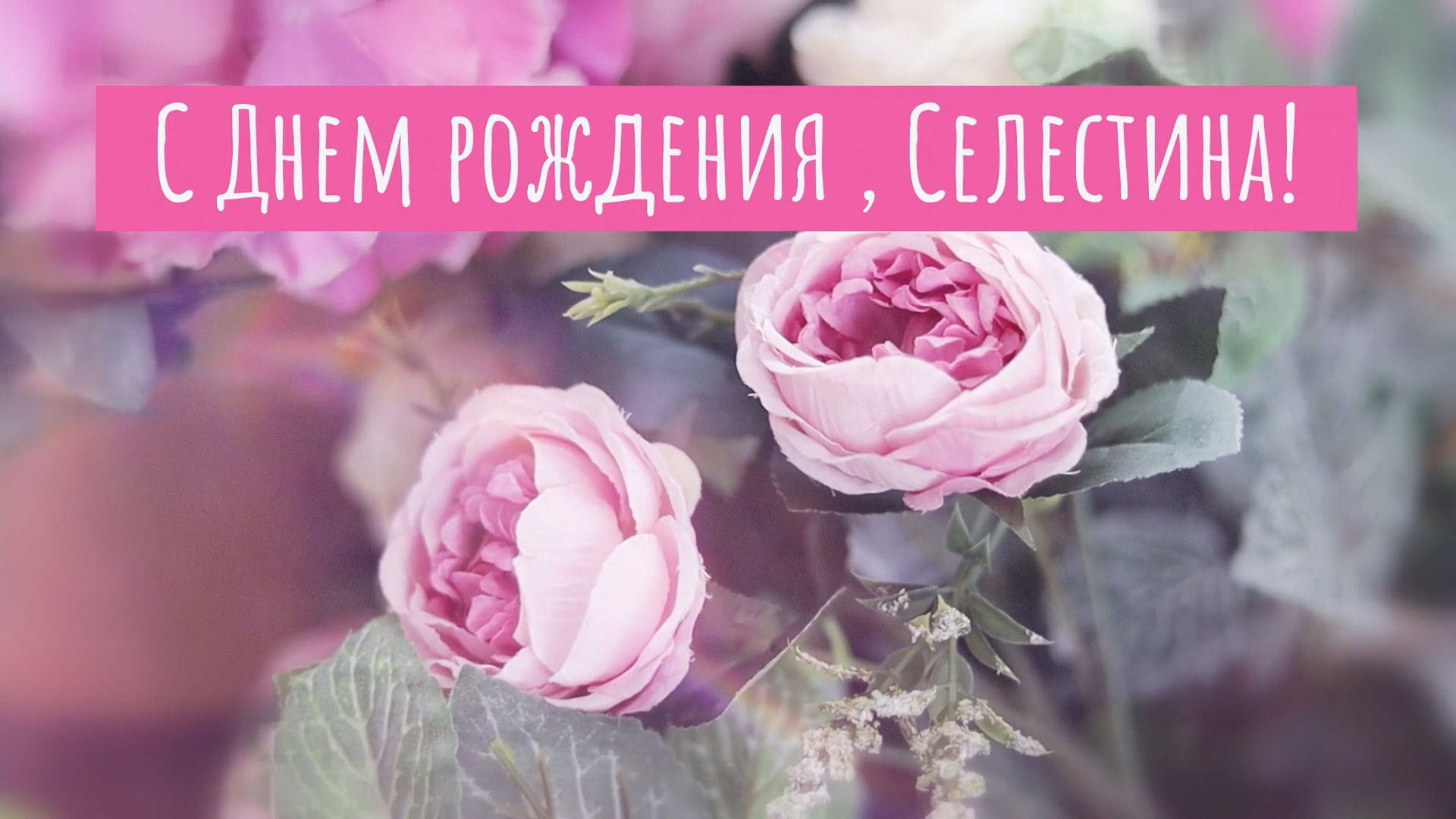 Селестина с Днем рождения!. Профессиональная фото и видеосъемка. Москва