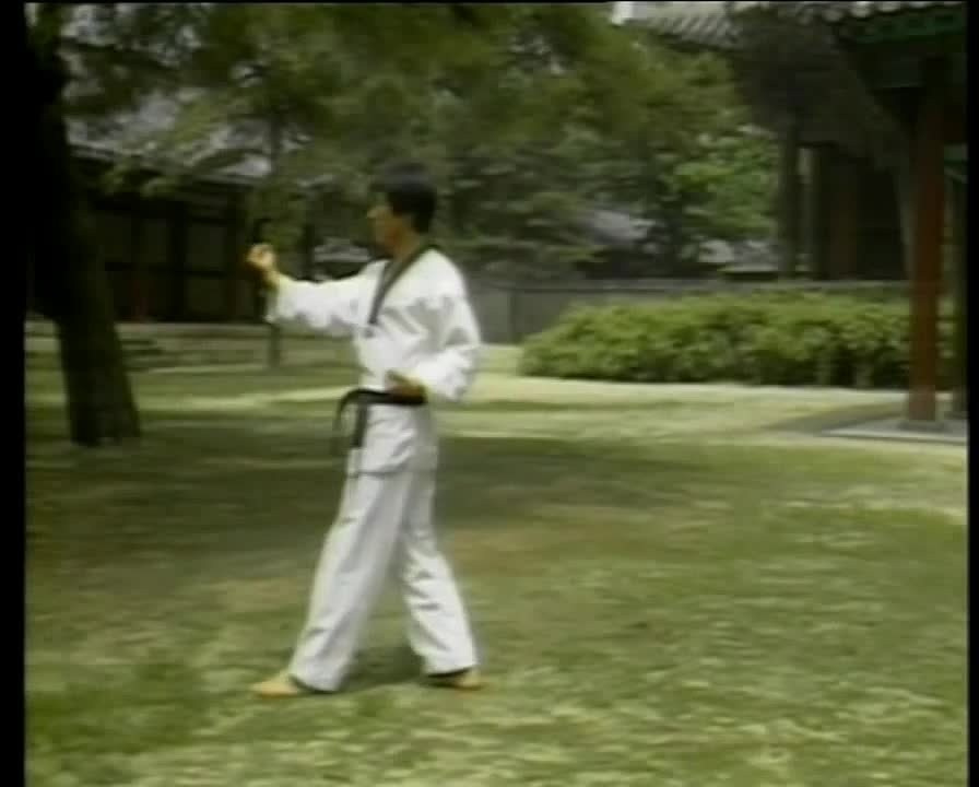 Пять частей фильма — Секреты мастерства тхэквондо — учебное видео. Тхэквондо для детей и взрослых в Омске