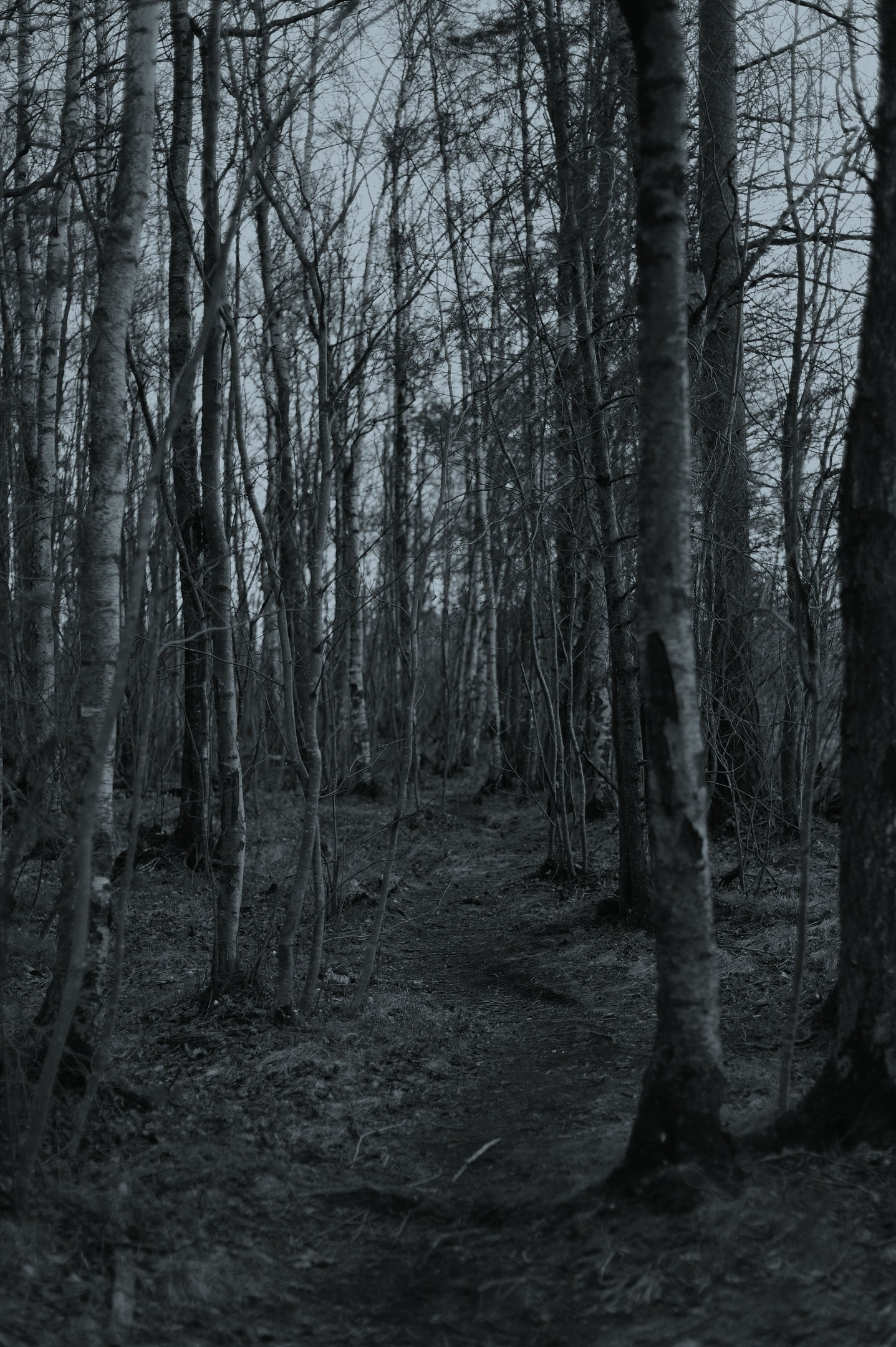 На грани Миров. Катерина Михеева